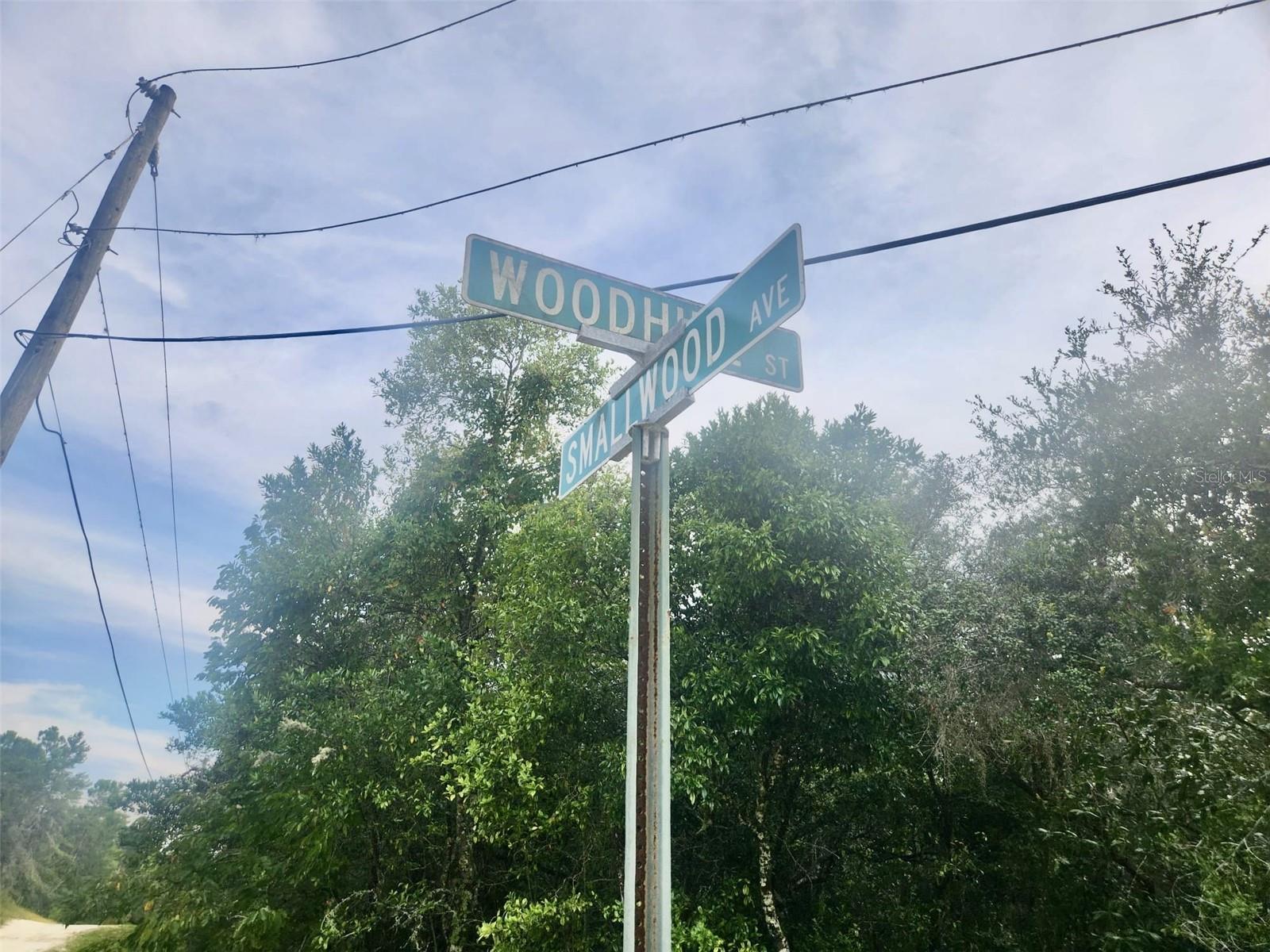 2912 WOODHILL ST, INVERNESS, FL, 34452