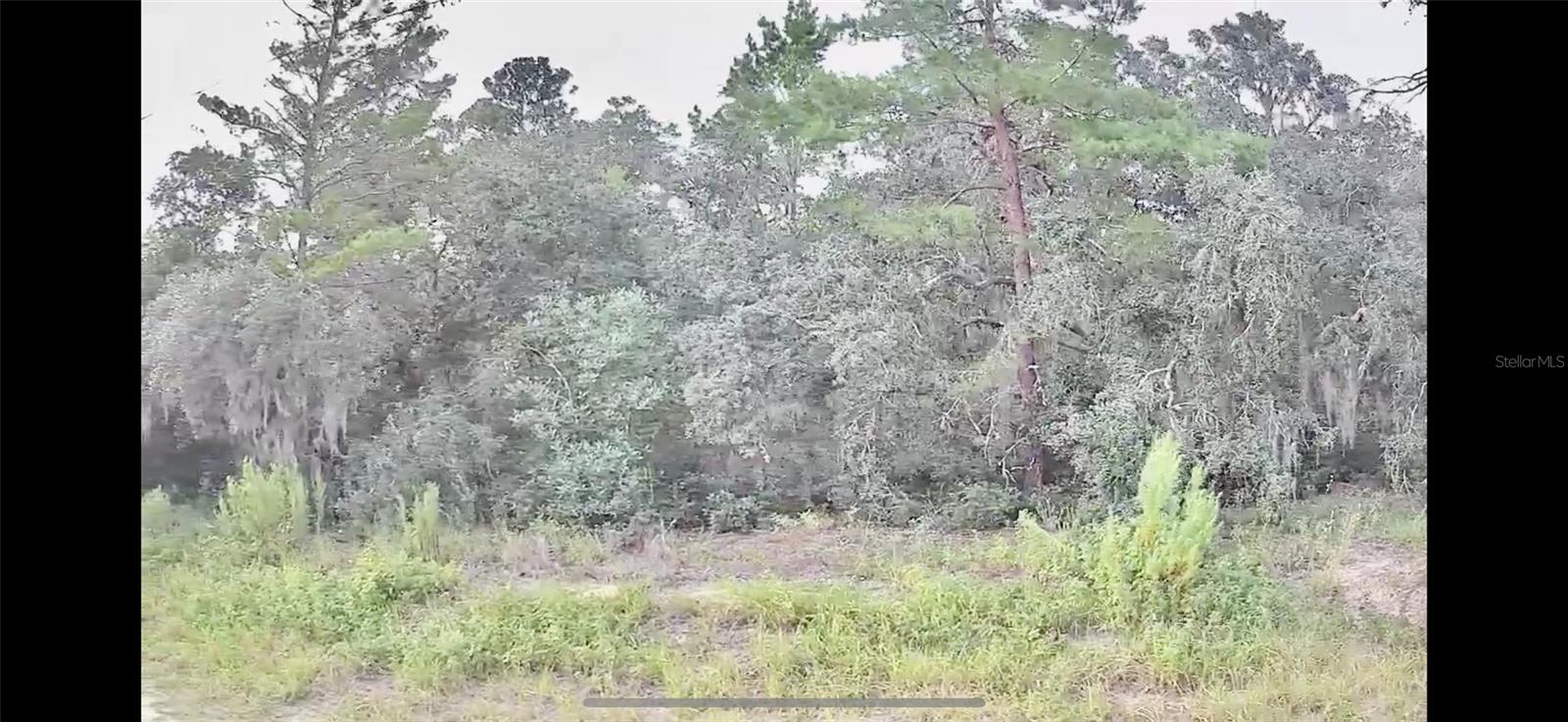 2912 WOODHILL ST, INVERNESS, FL, 34452