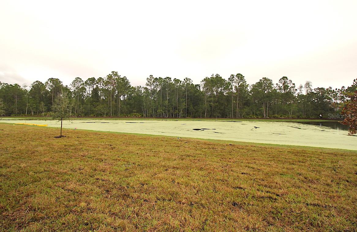 298 SUNSET POINT DR, ORMOND BEACH, FL, 32174