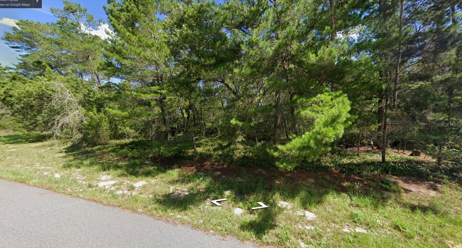 TBD SW 176TH ST, OCALA, FL, 34473