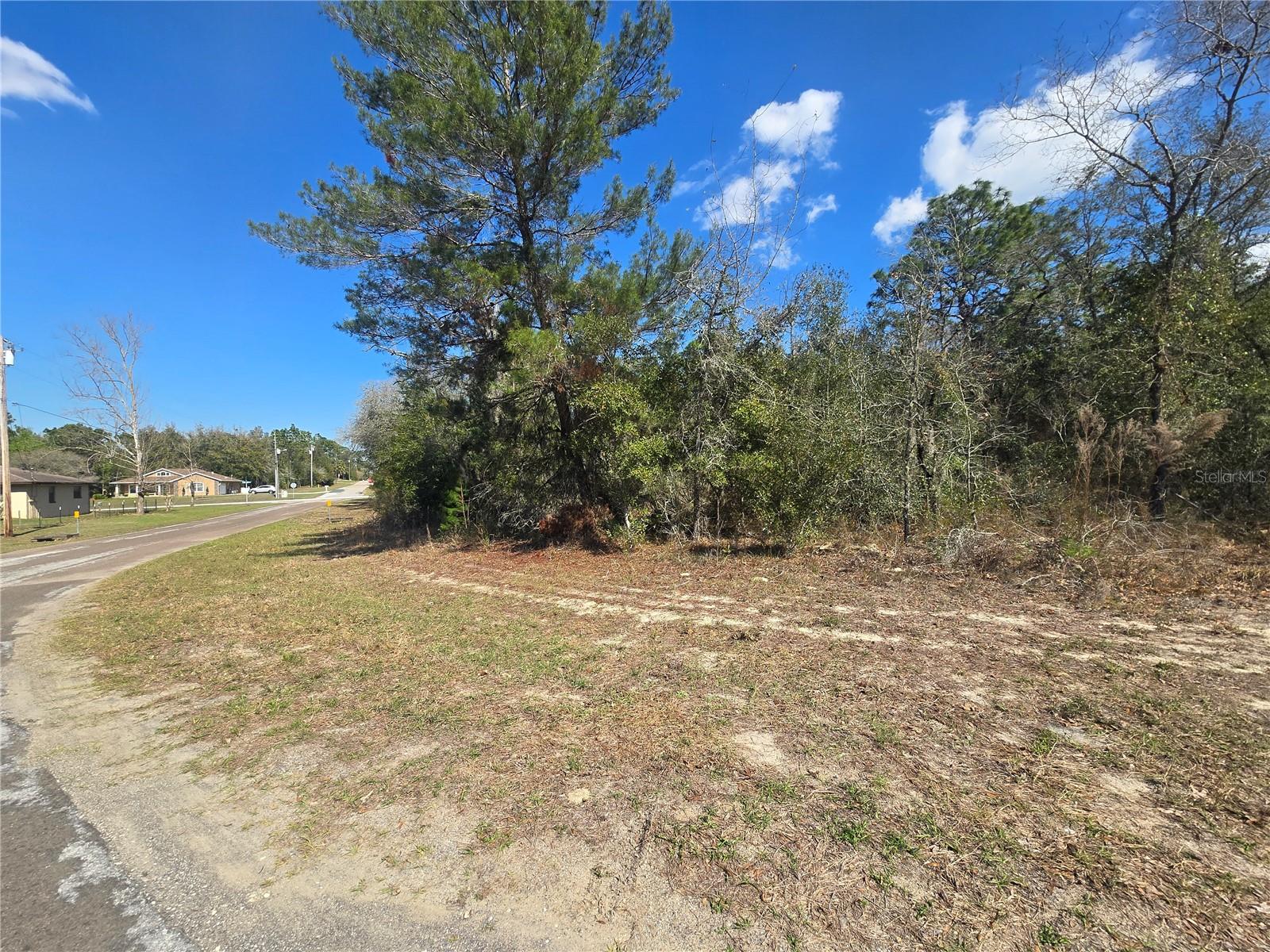 8365 N IBSEN DR, CITRUS SPRINGS, FL, 34433