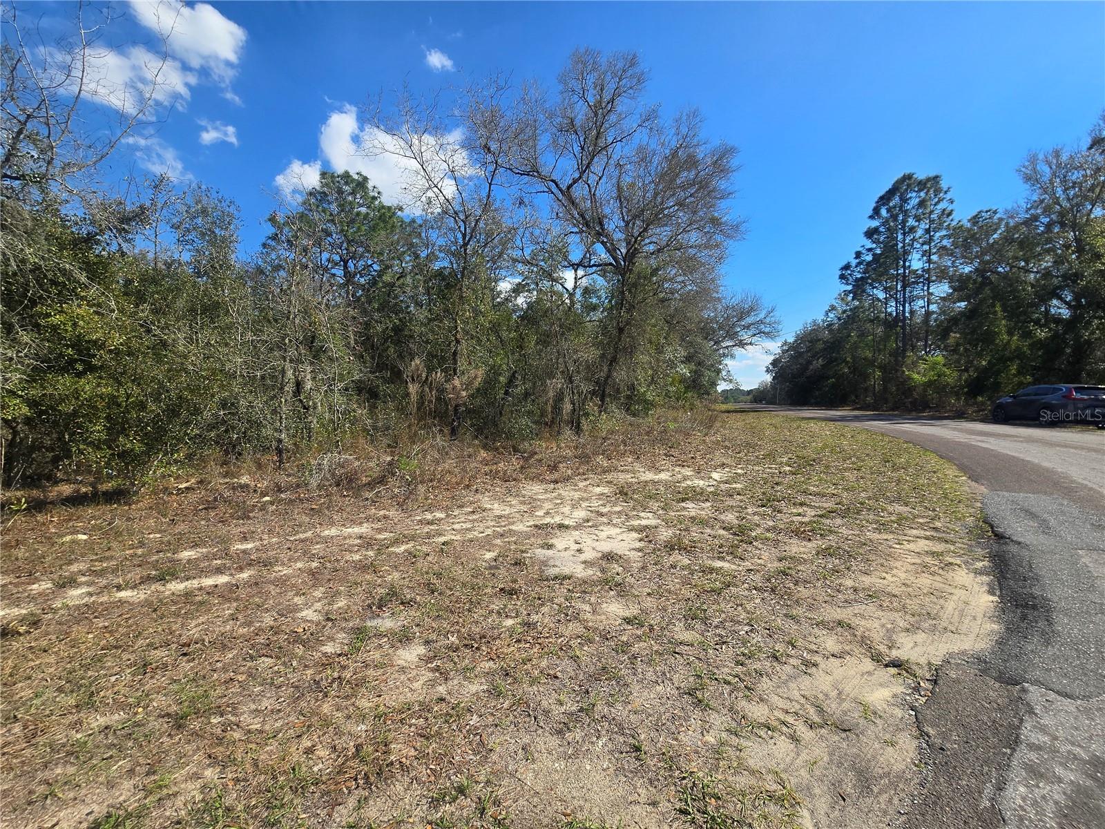8365 N IBSEN DR, CITRUS SPRINGS, FL, 34433