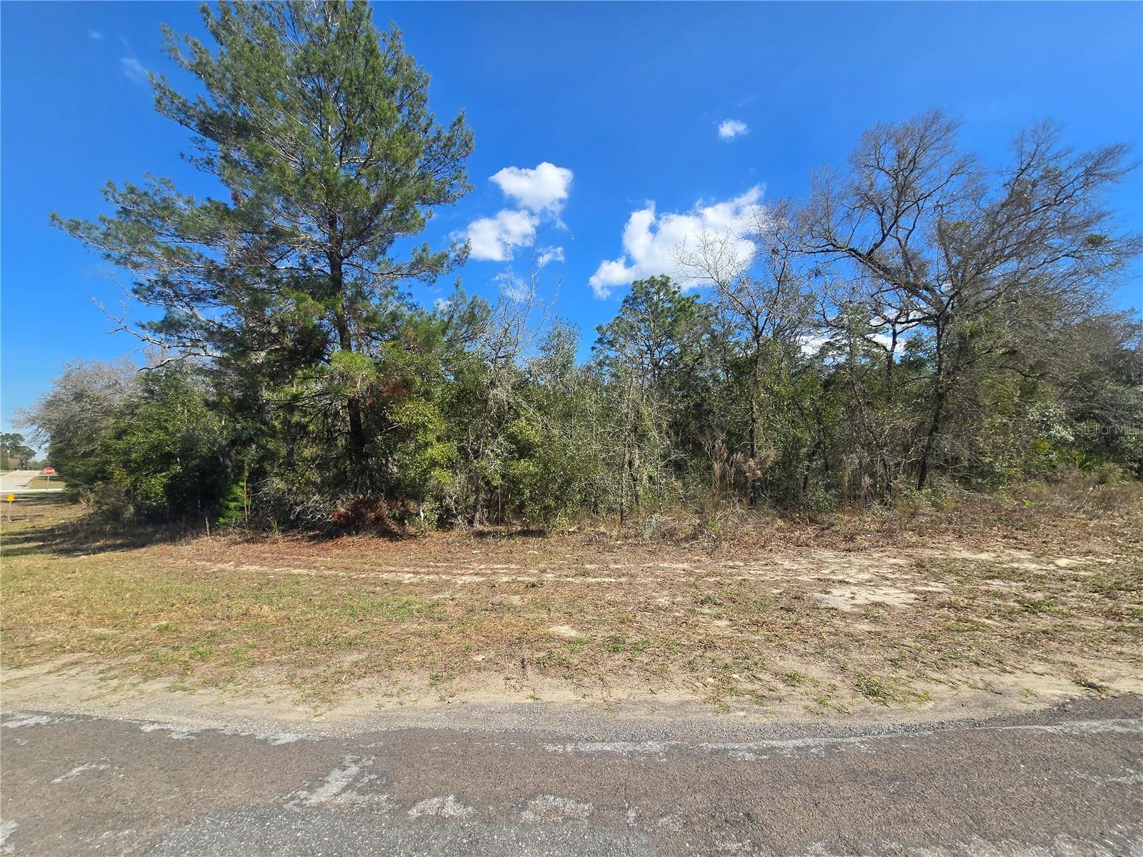 8365 N IBSEN DR, CITRUS SPRINGS, FL, 34433