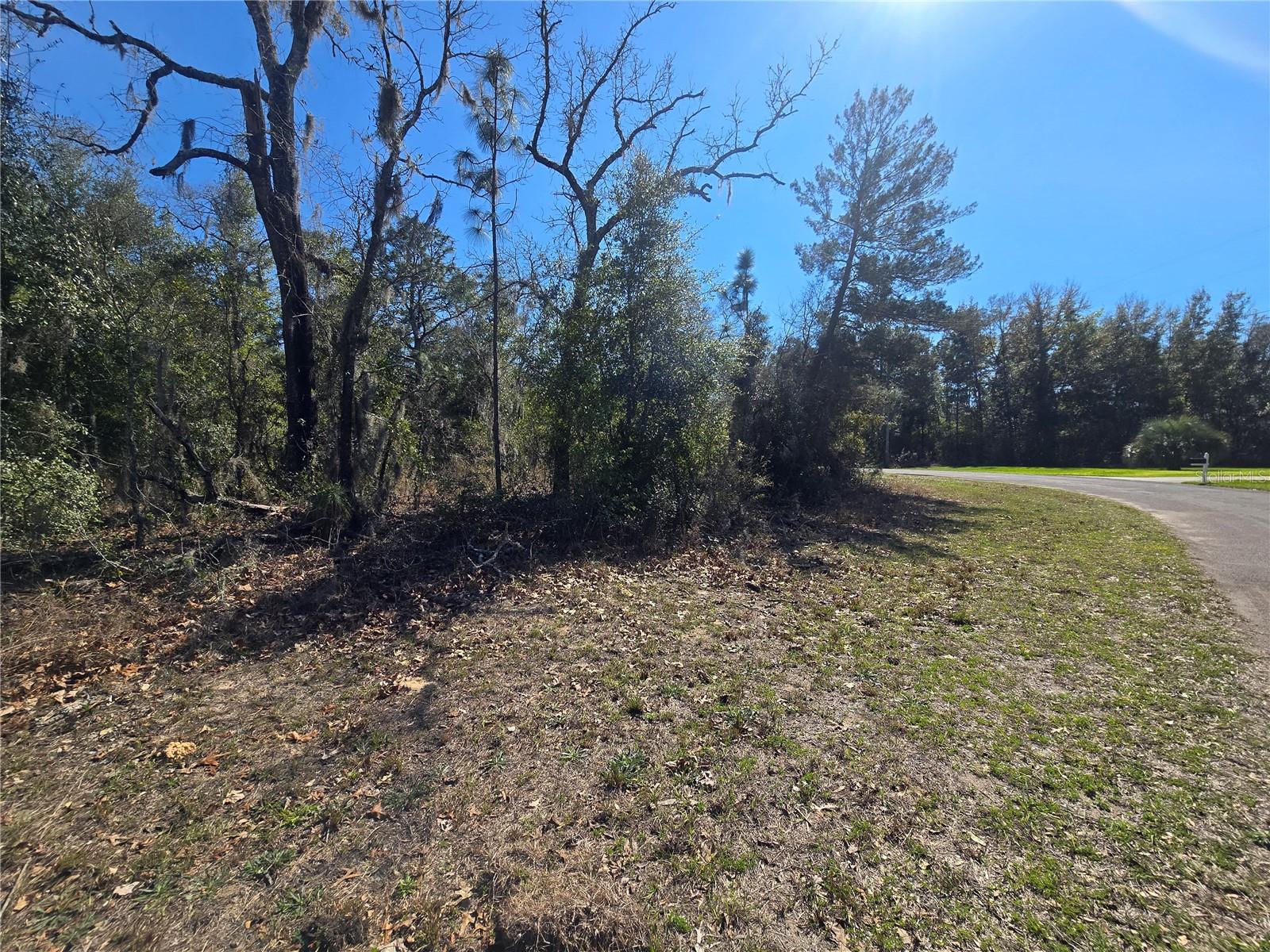 8365 N IBSEN DR, CITRUS SPRINGS, FL, 34433