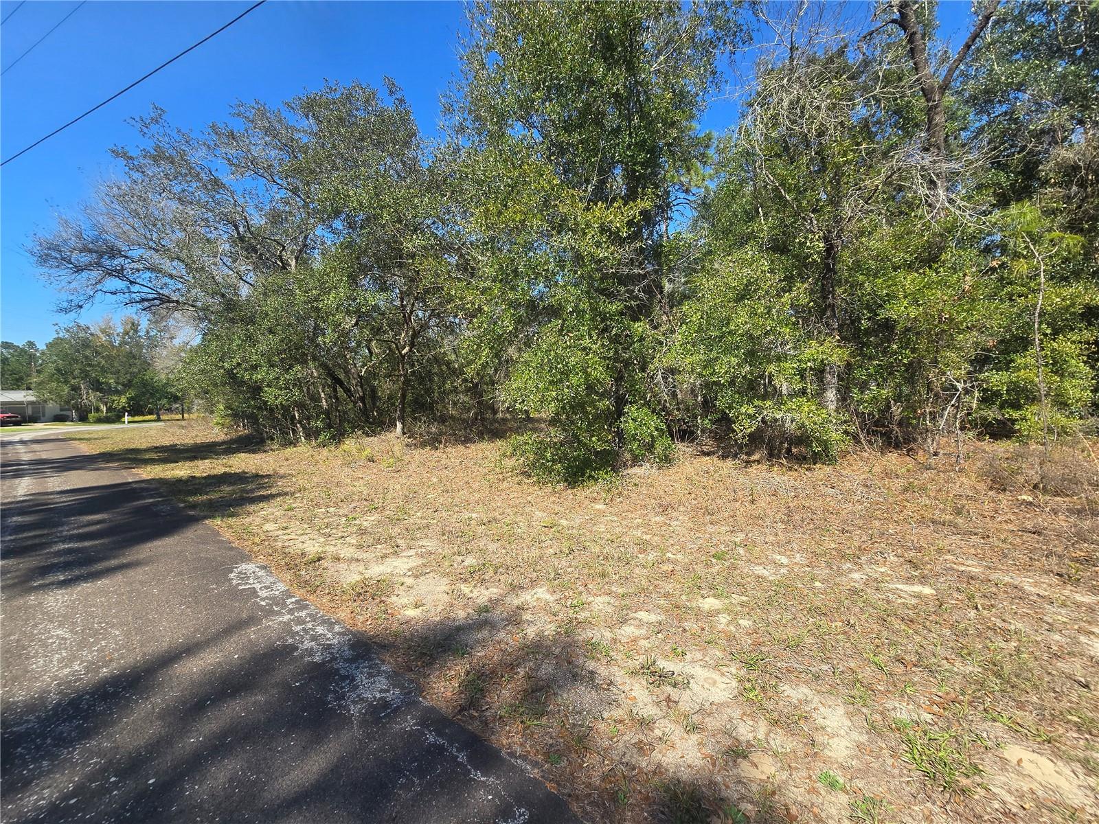 8365 N IBSEN DR, CITRUS SPRINGS, FL, 34433
