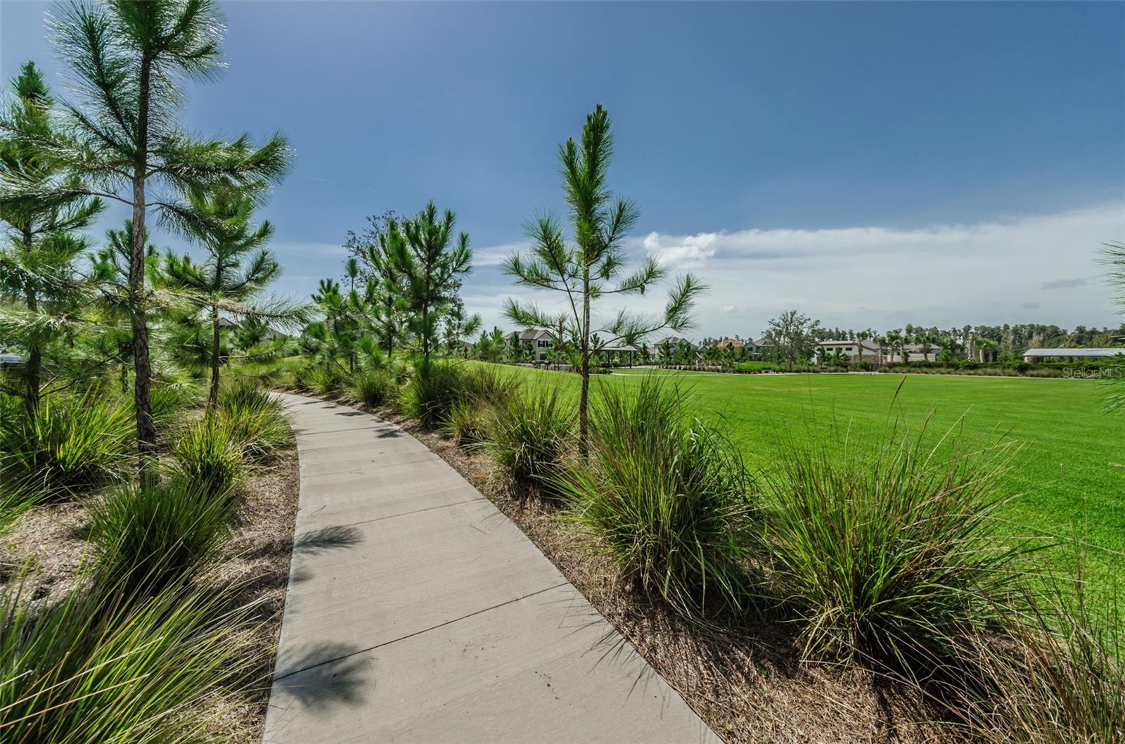 12610 RANGELAND BLVD, ODESSA, FL, 33556