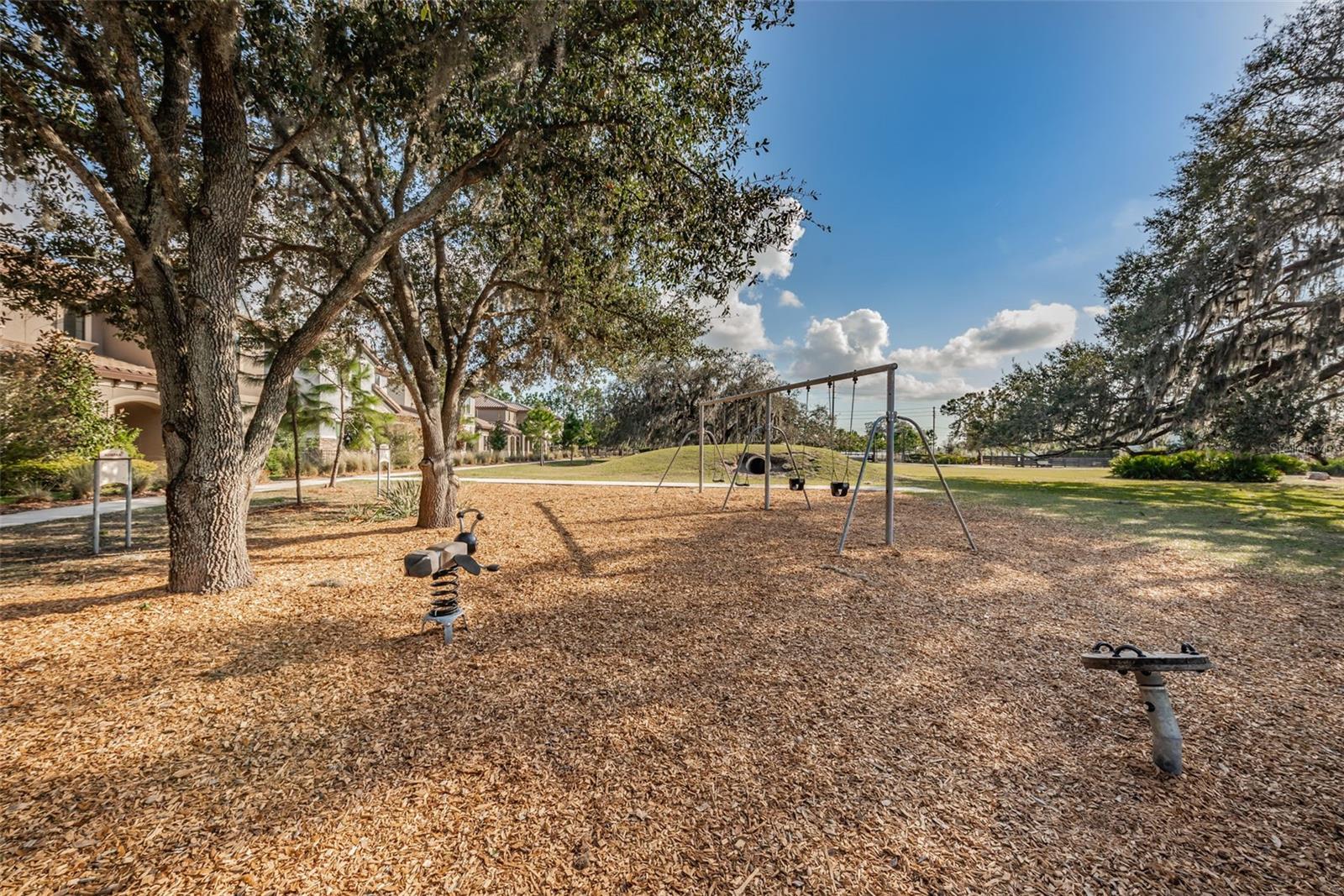12610 RANGELAND BLVD, ODESSA, FL, 33556