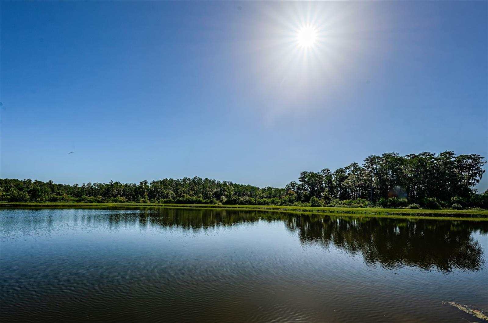 12610 RANGELAND BLVD, ODESSA, FL, 33556