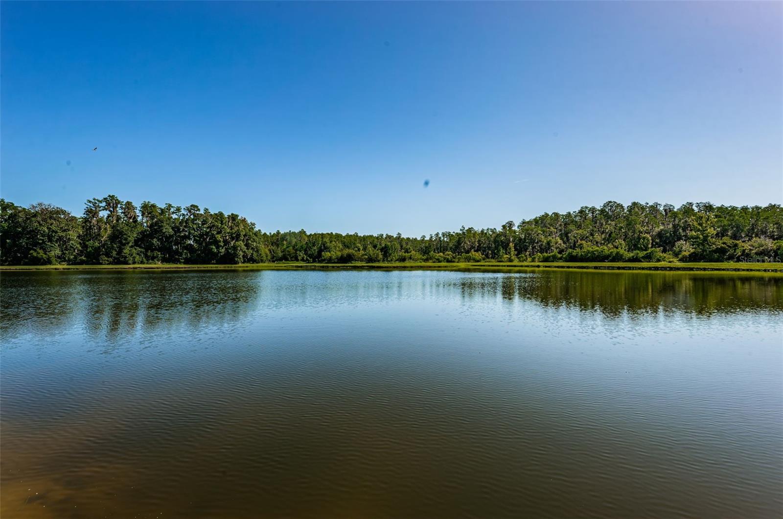 12610 RANGELAND BLVD, ODESSA, FL, 33556