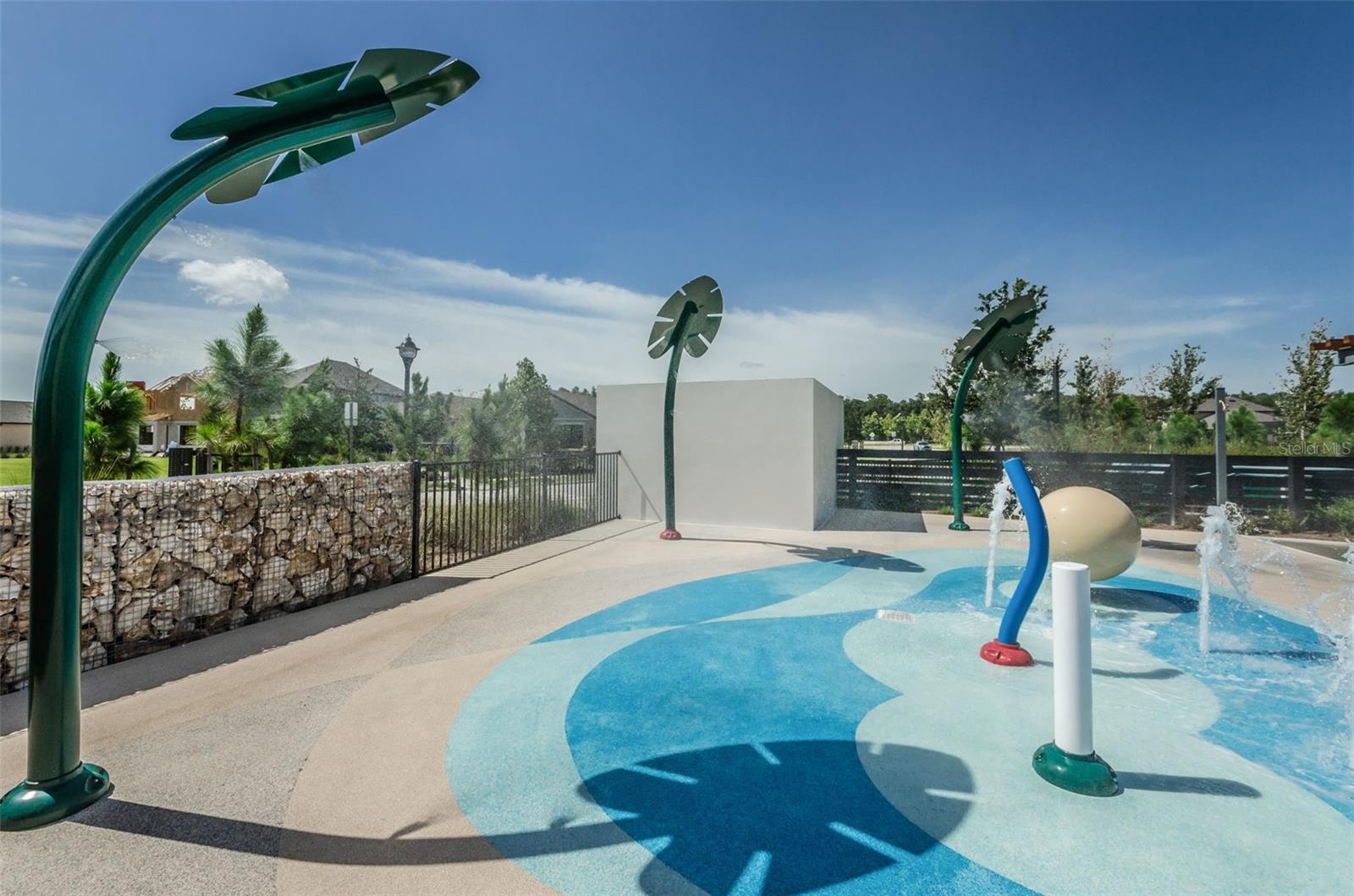 12610 RANGELAND BLVD, ODESSA, FL, 33556
