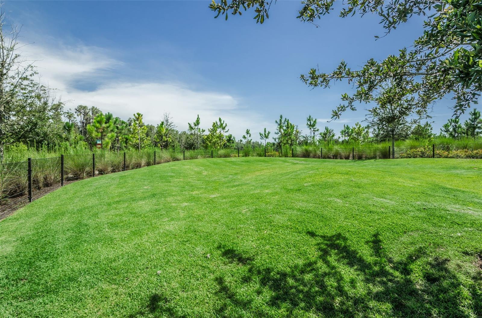 12610 RANGELAND BLVD, ODESSA, FL, 33556