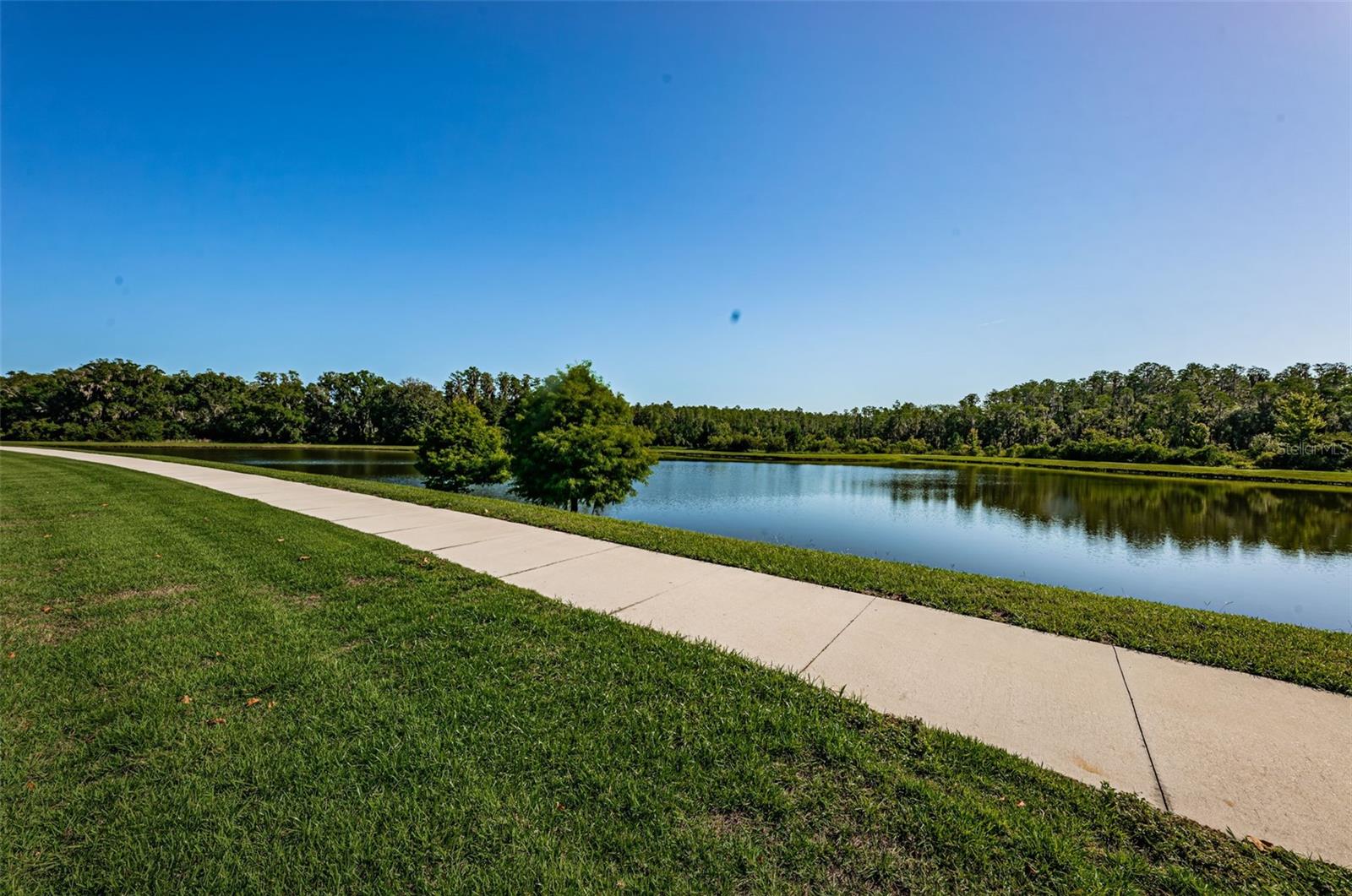 12610 RANGELAND BLVD, ODESSA, FL, 33556