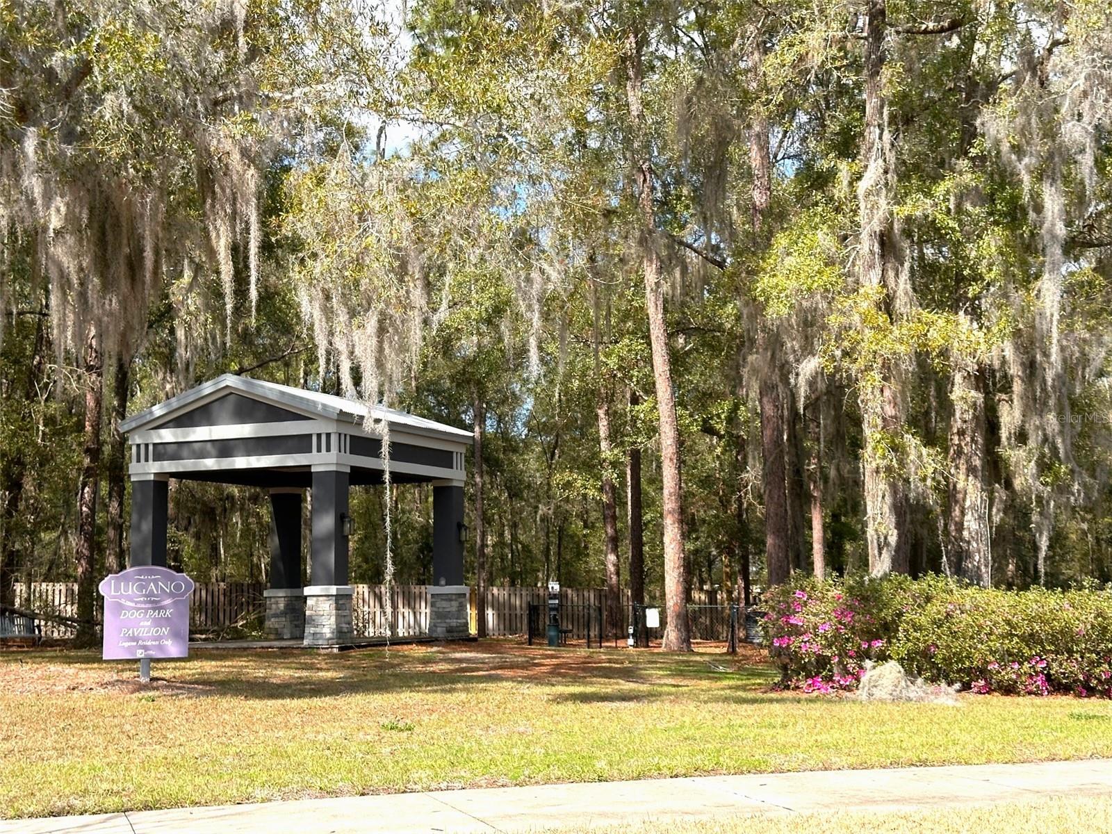 6657 SW LUGANO CT, GAINESVILLE, FL, 32608