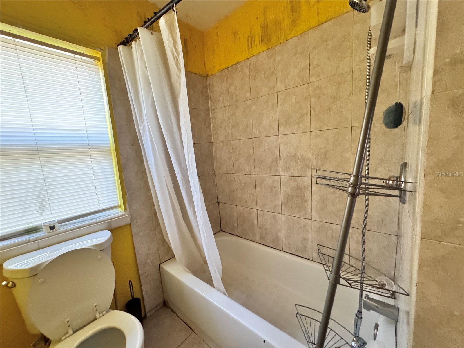 7002 ROSE AVE, ORLANDO, FL, 32810