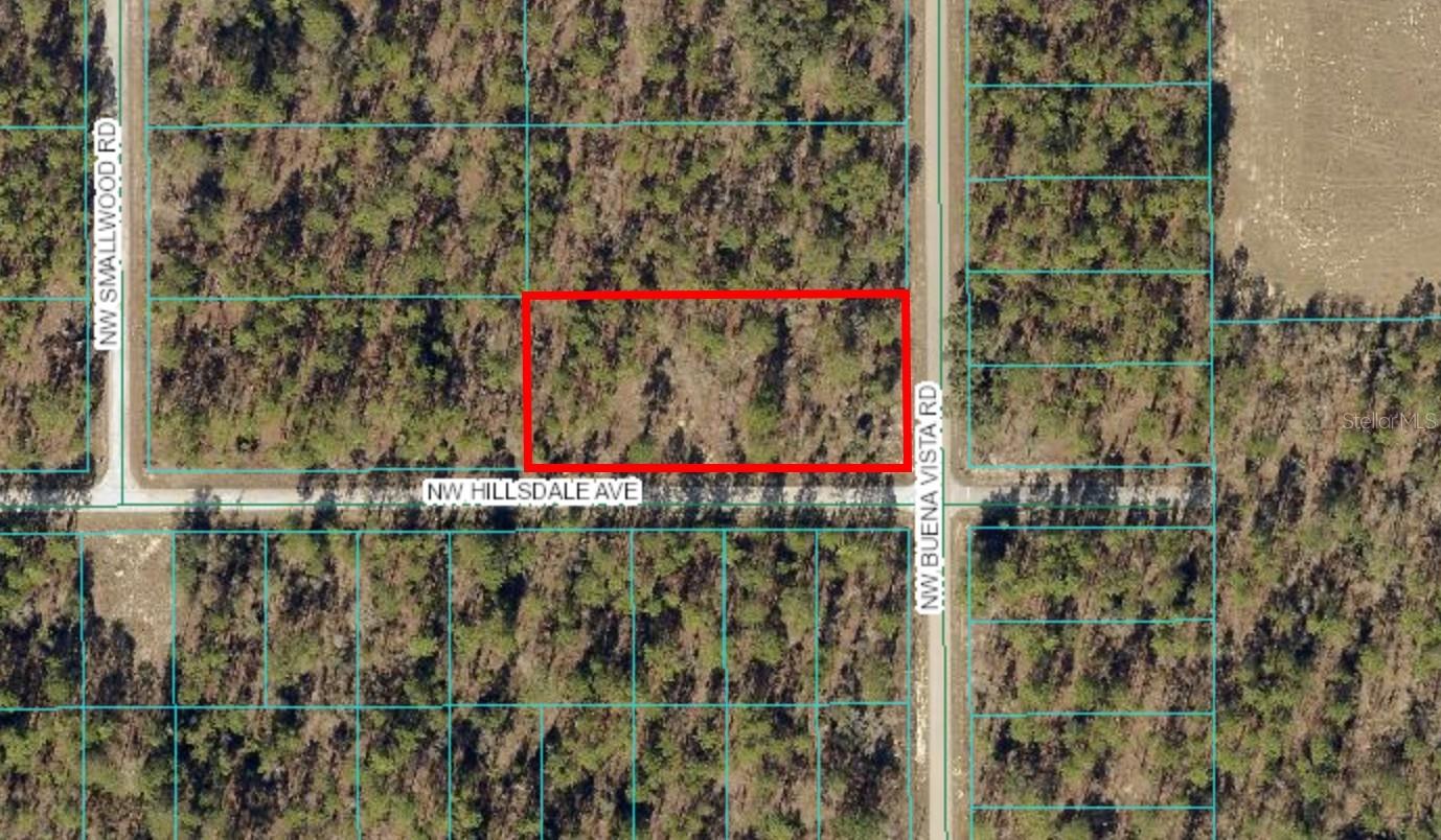 TBD NW BUENA VISTA RD, DUNNELLON, FL, 34431