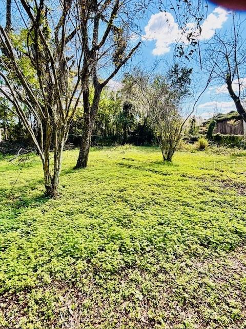 35444 DARLENE DR, ZEPHYRHILLS, FL, 33541