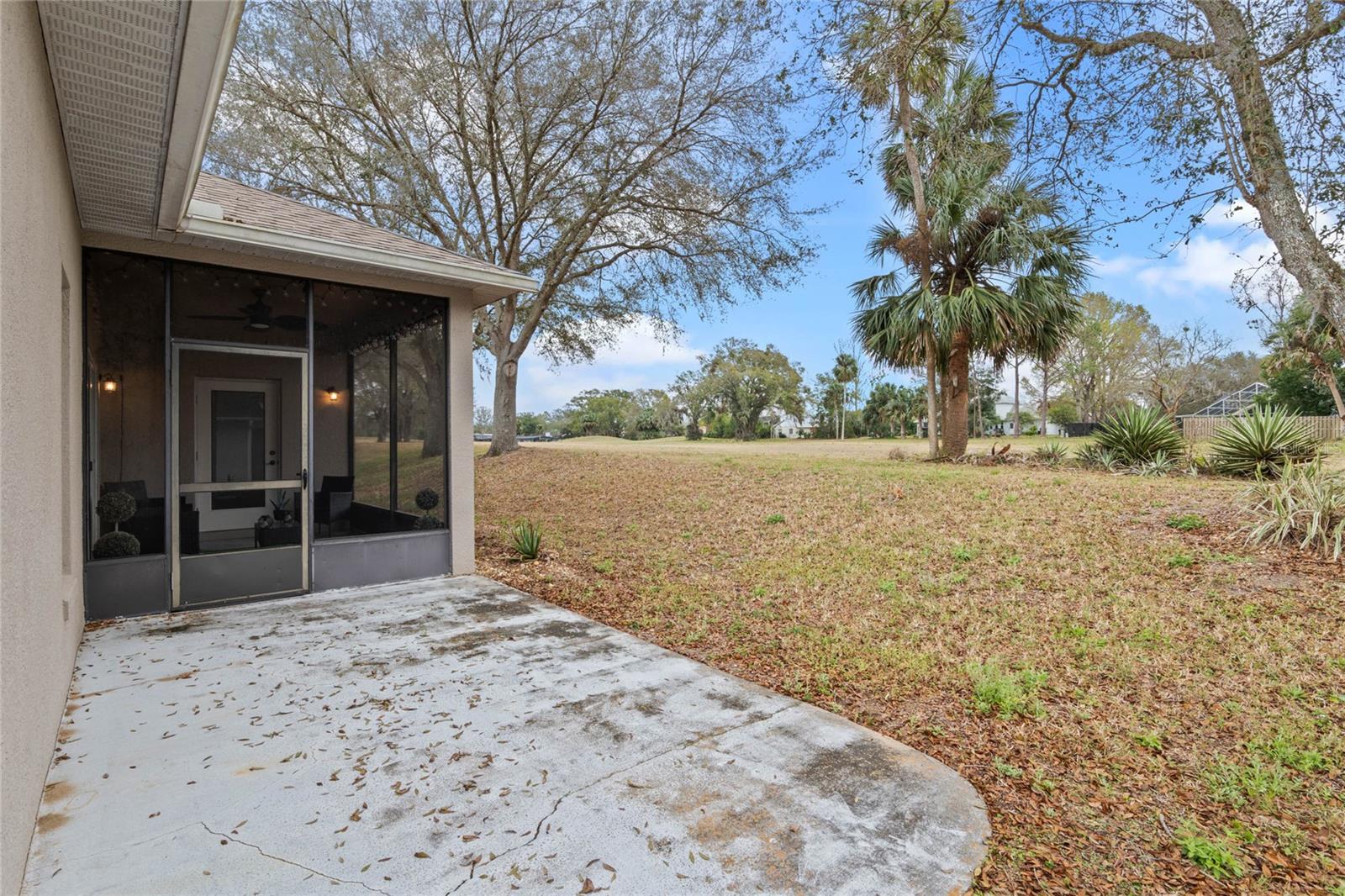 1520 LUCKY PENNIE WAY, APOPKA, FL, 32712