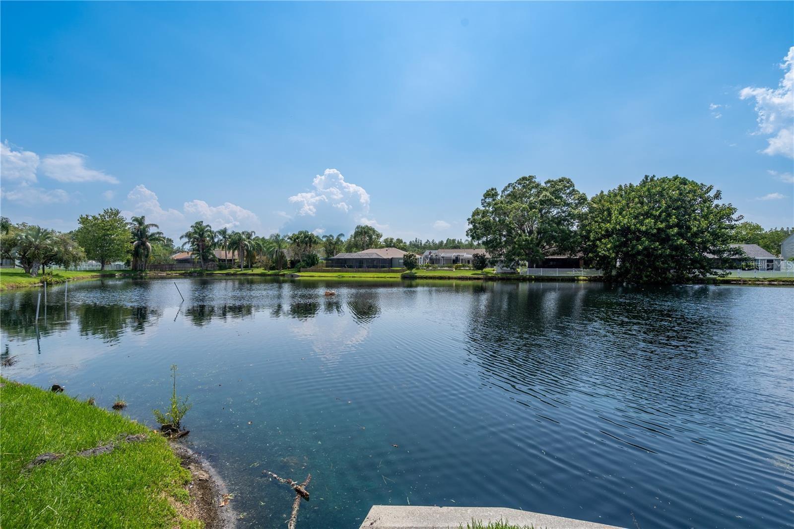 16208 PEBBLEBROOK DR, TAMPA, FL, 33624