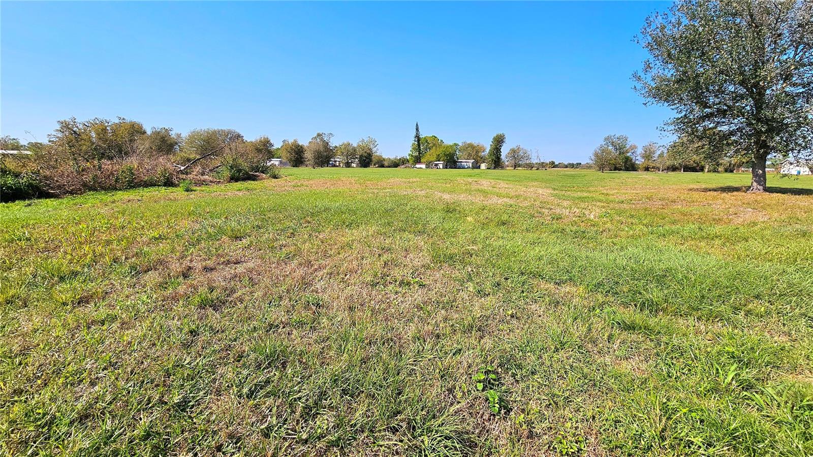 2154 NW GENES LITTLE ACRES AVE, ARCADIA, FL, 34266