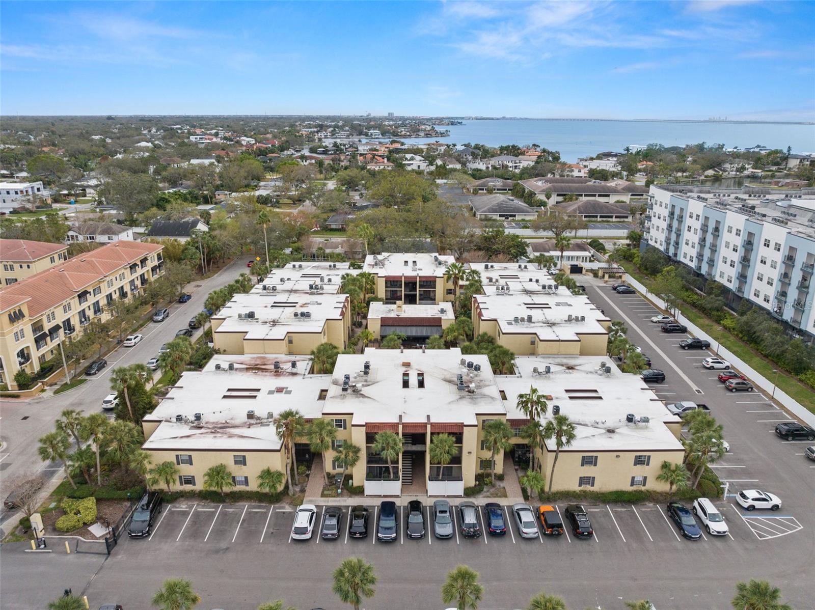 107 S OBRIEN ST #217, TAMPA, FL, 33609