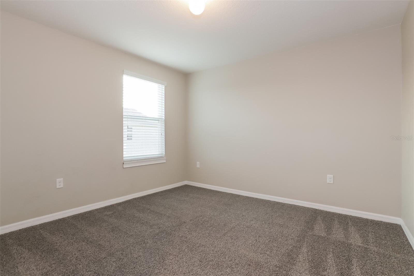 2303 ASHBERRY RIDGE DR, PLANT CITY, FL, 33563