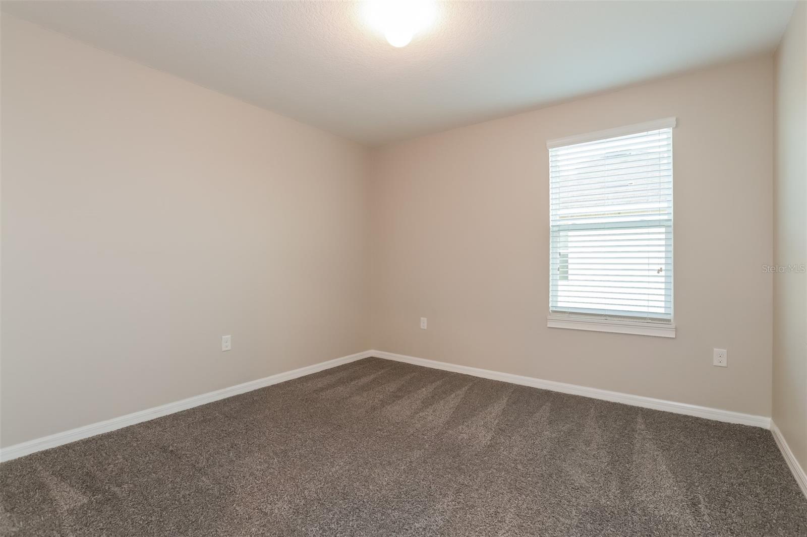 2303 ASHBERRY RIDGE DR, PLANT CITY, FL, 33563