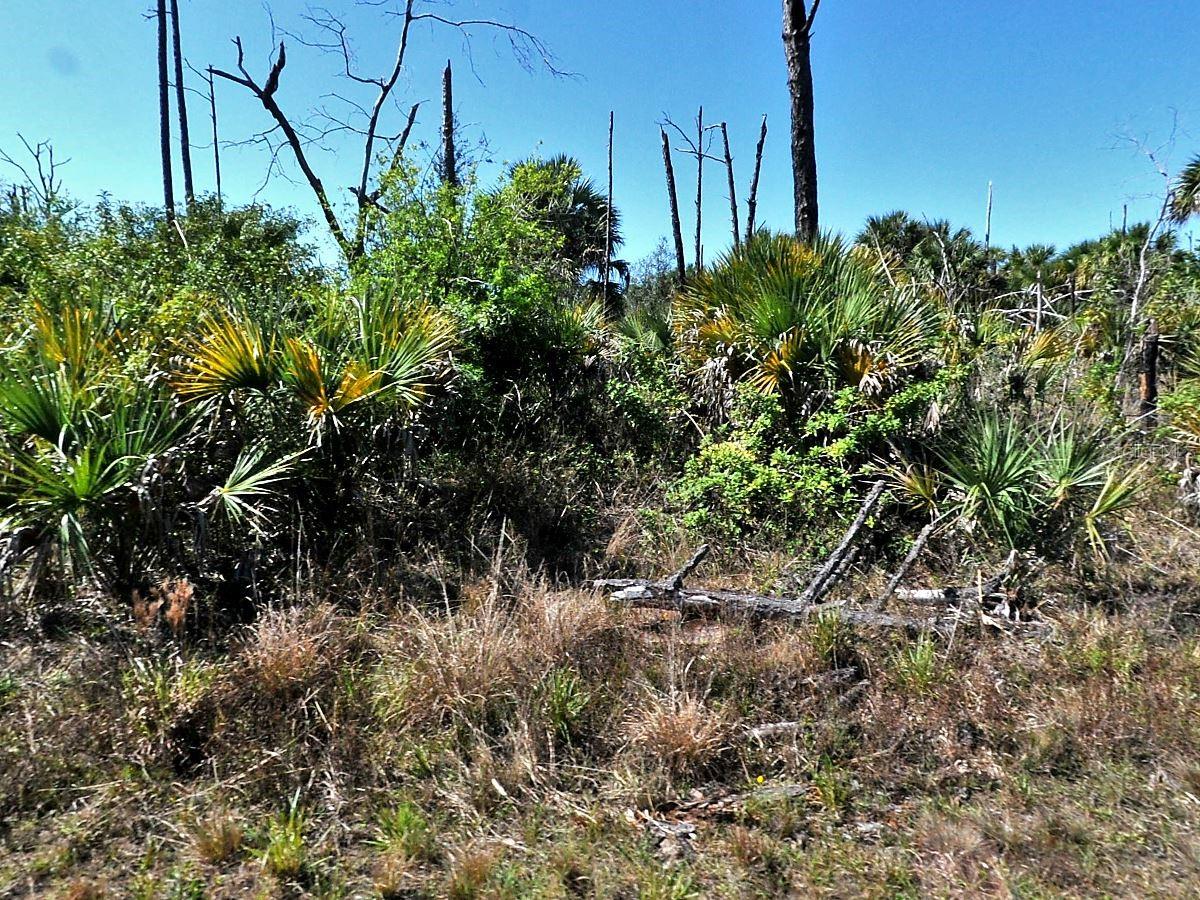 HIAWATHA TER #005, NORTH PORT, FL, 34288