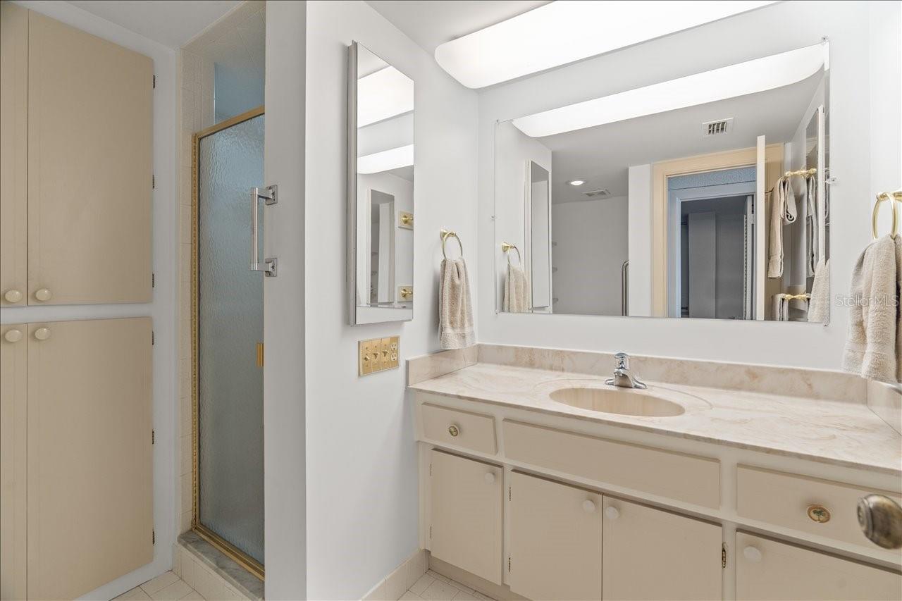 131 BLUFF VIEW DR #409, BELLEAIR BLUFFS, FL, 33770