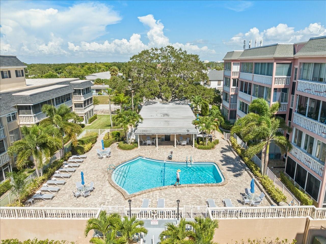 131 BLUFF VIEW DR #409, BELLEAIR BLUFFS, FL, 33770