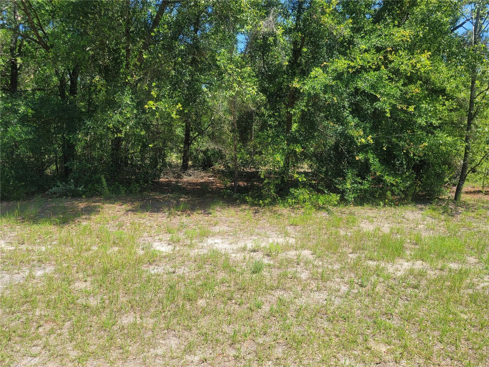 8177 W PREVITI LN, CRYSTAL RIVER, FL, 34428