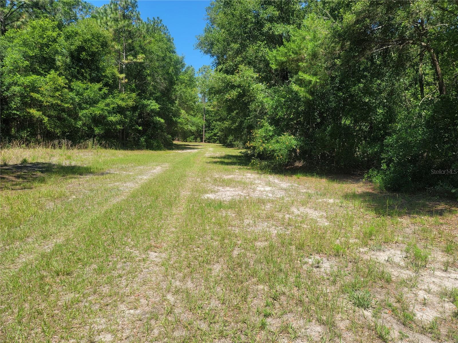 8177 W PREVITI LN, CRYSTAL RIVER, FL, 34428