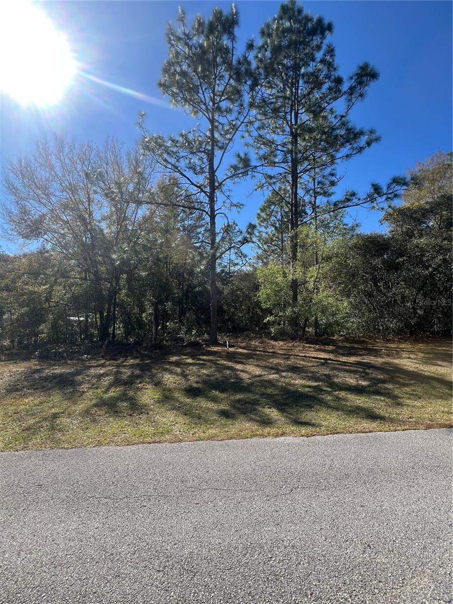 00 SW 196TH AVE, DUNNELLON, FL, 34431