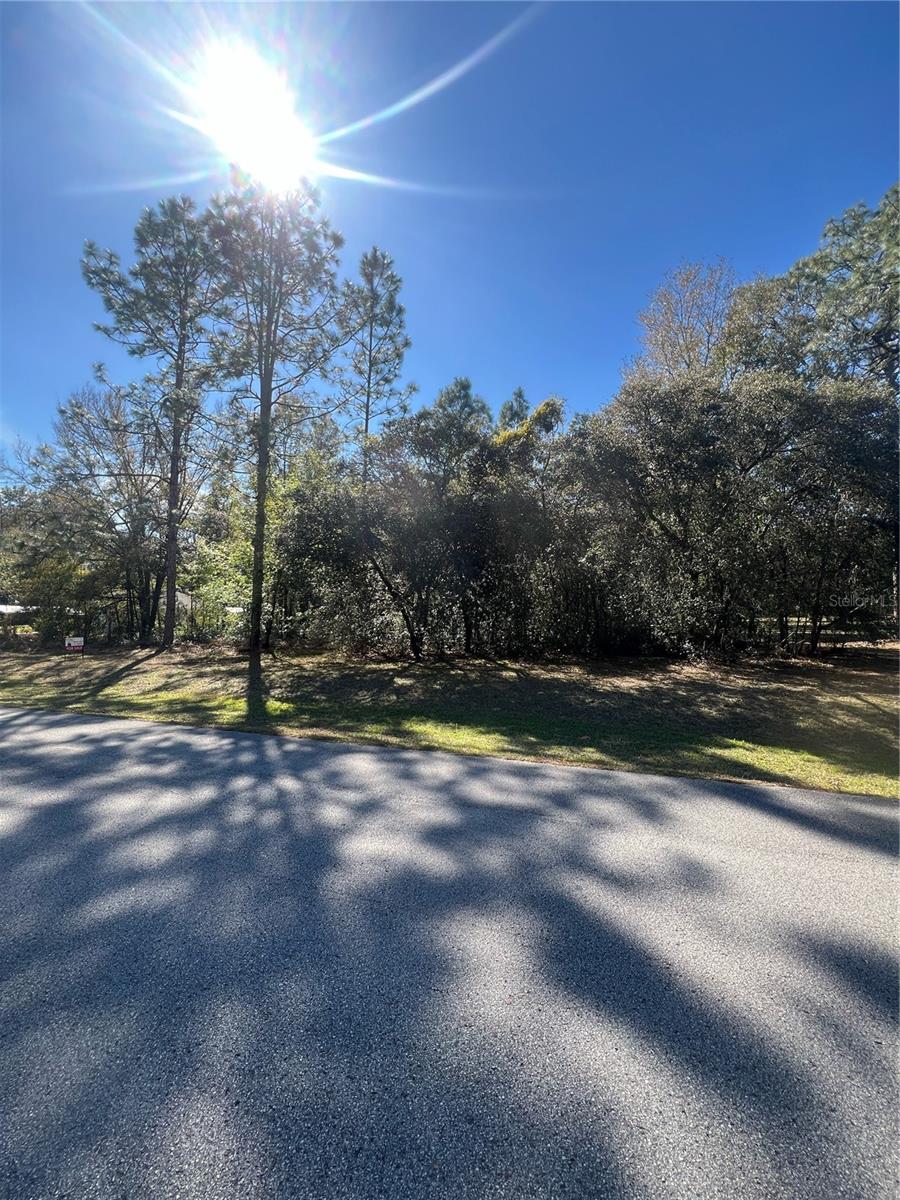 00 SW 196TH AVE, DUNNELLON, FL, 34431