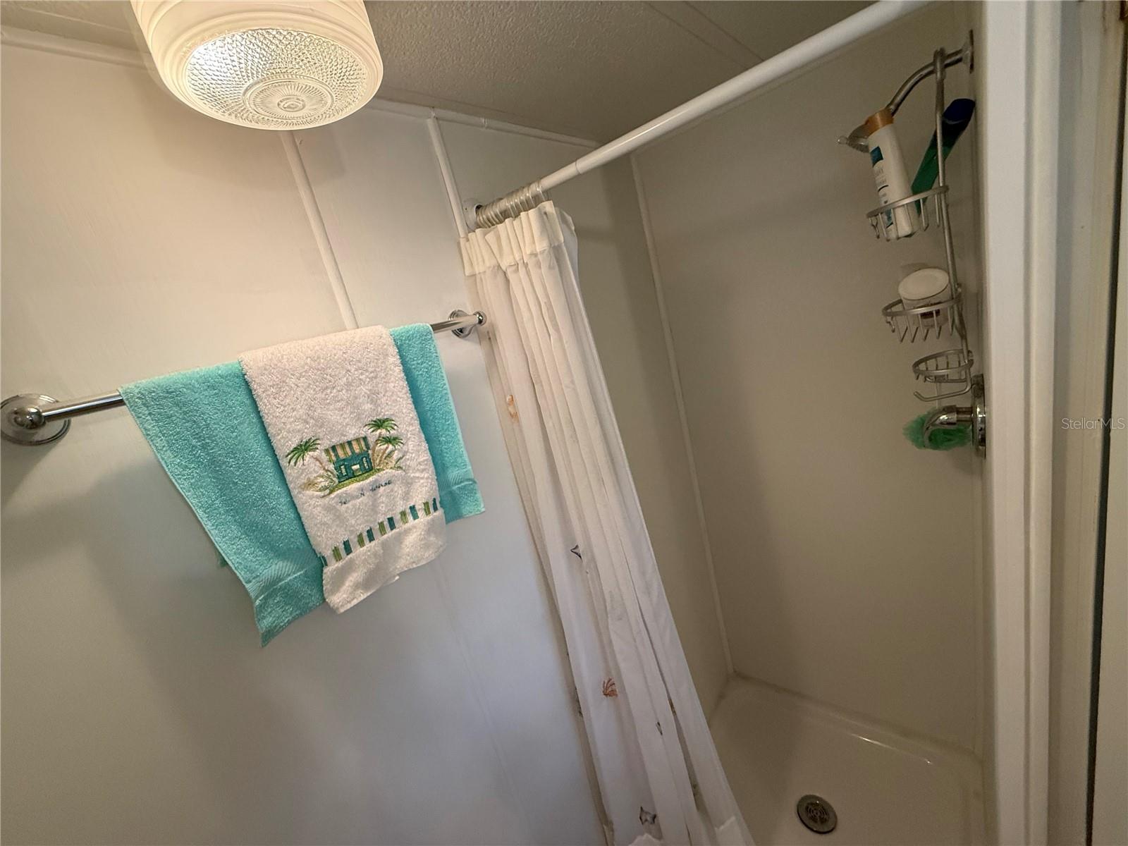 1127 BELMONT CIR, TAVARES, FL, 32778