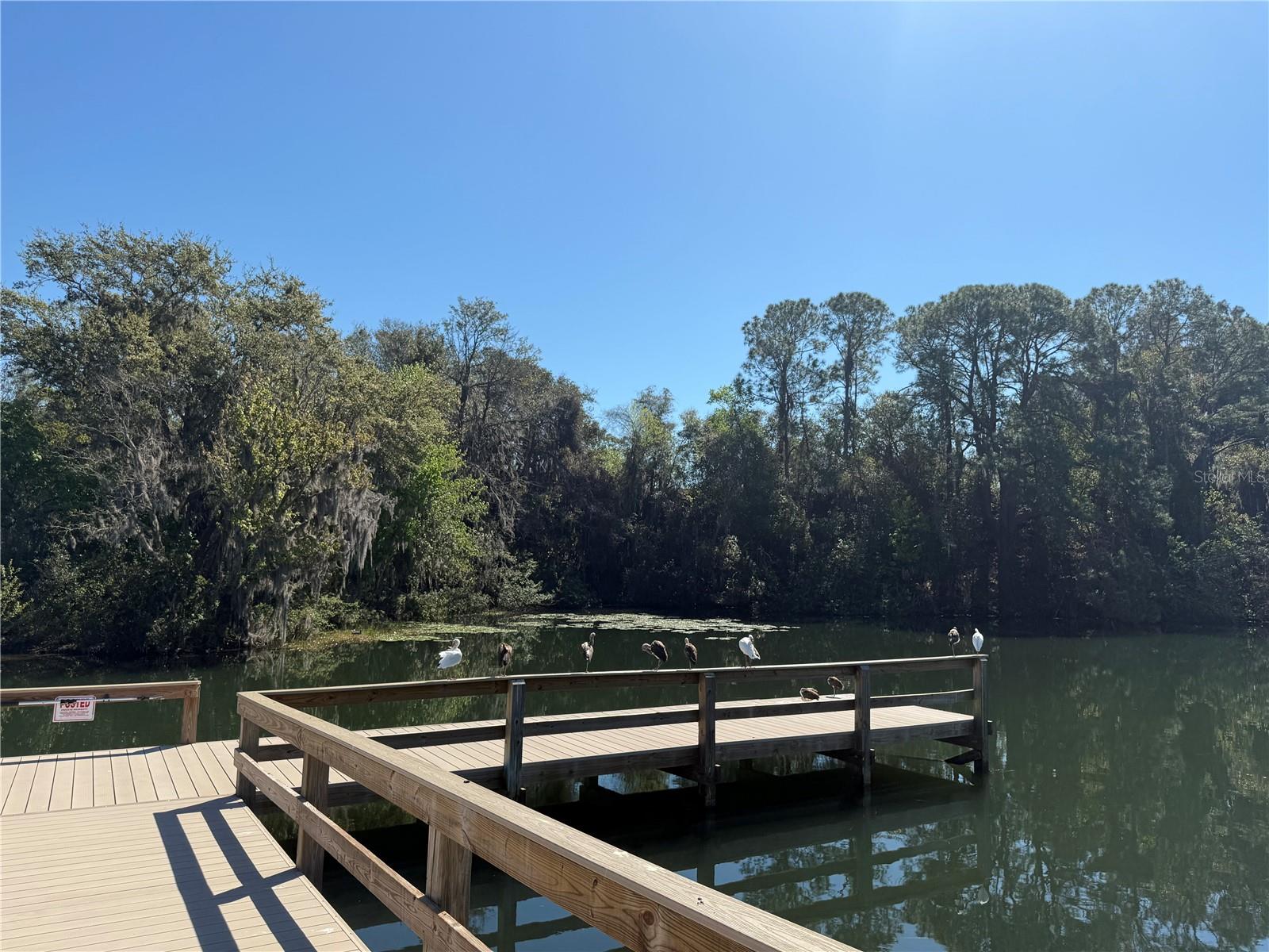 1127 BELMONT CIR, TAVARES, FL, 32778