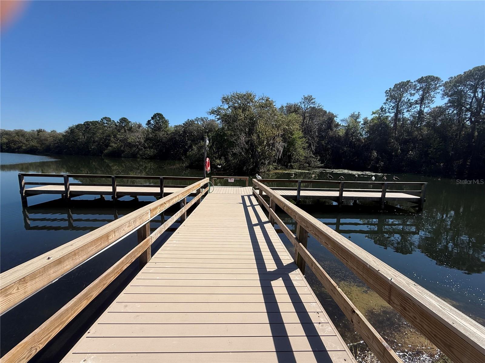 1127 BELMONT CIR, TAVARES, FL, 32778