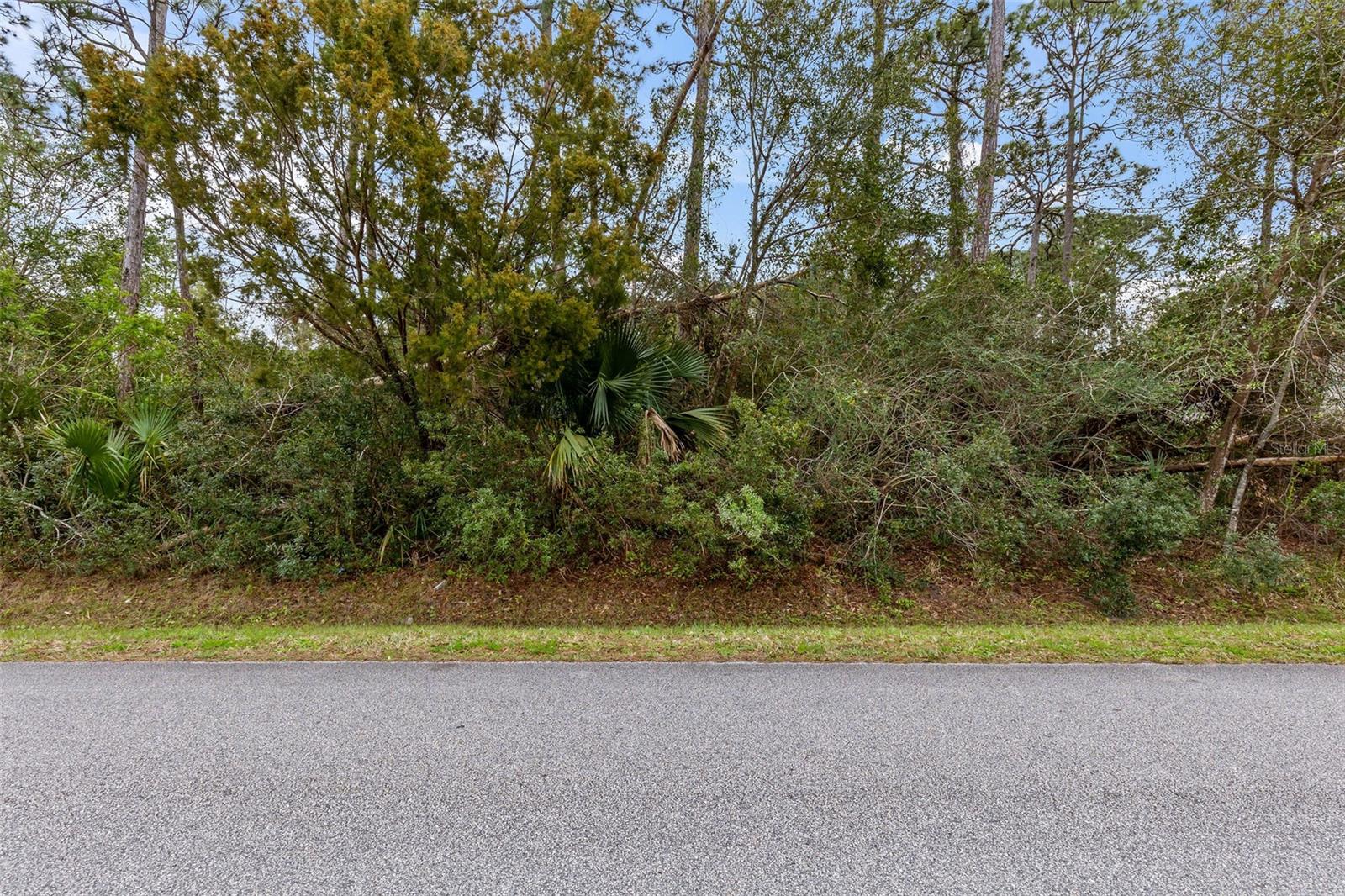 104 FARMSWORTH DR, PALM COAST, FL, 32137