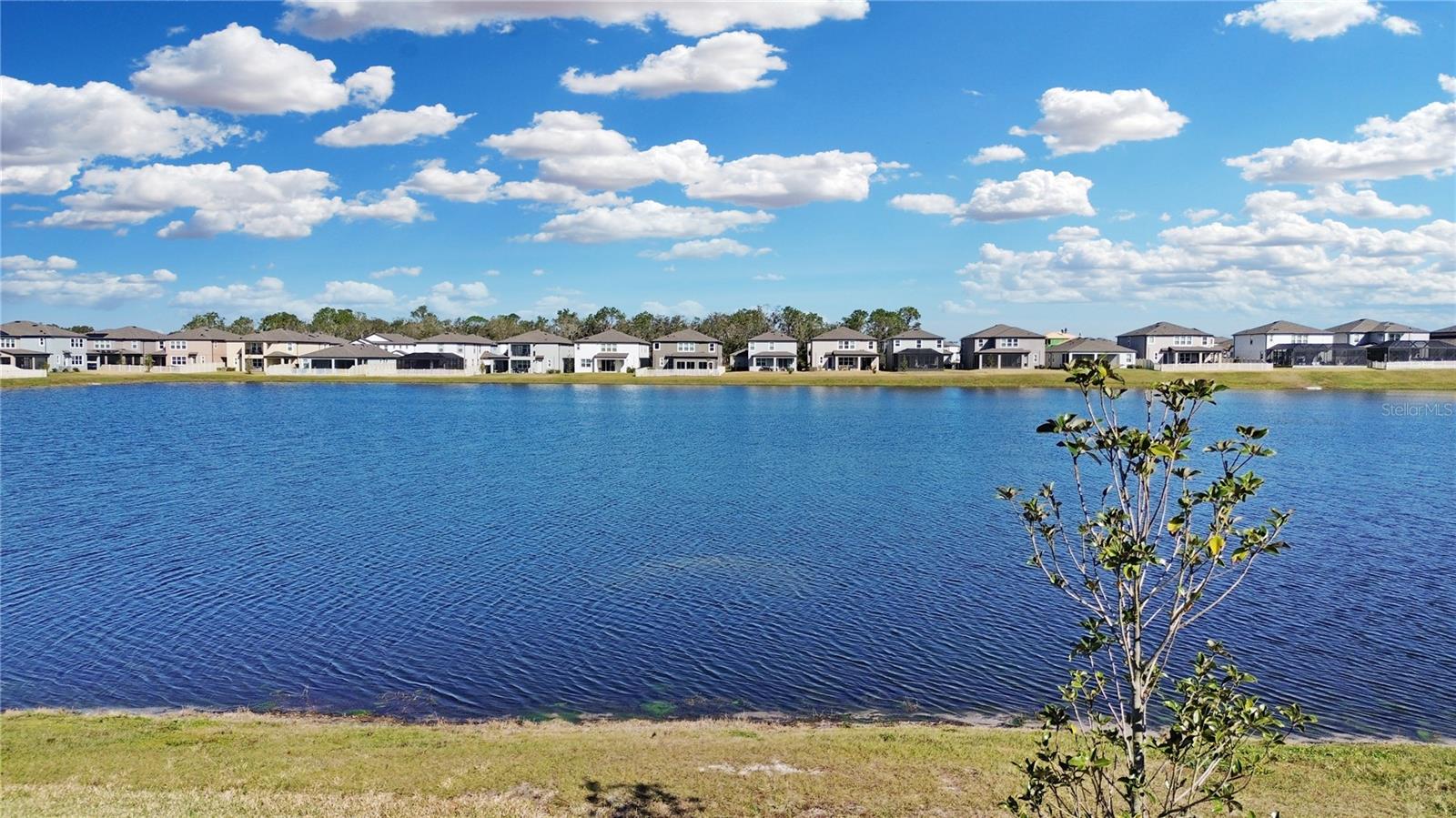 3129 MARINE GRASS DR, WIMAUMA, FL, 33598