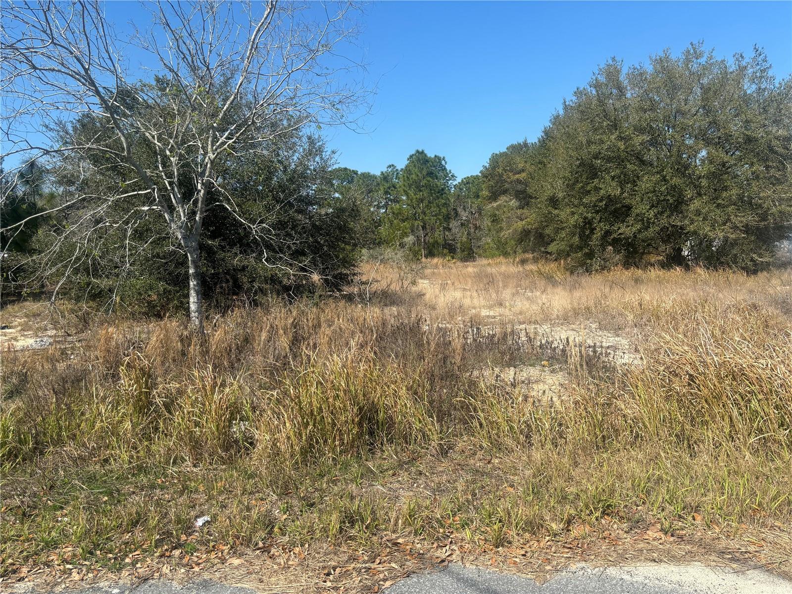 0000 OAK RUN PL, OCALA, FL, 34472