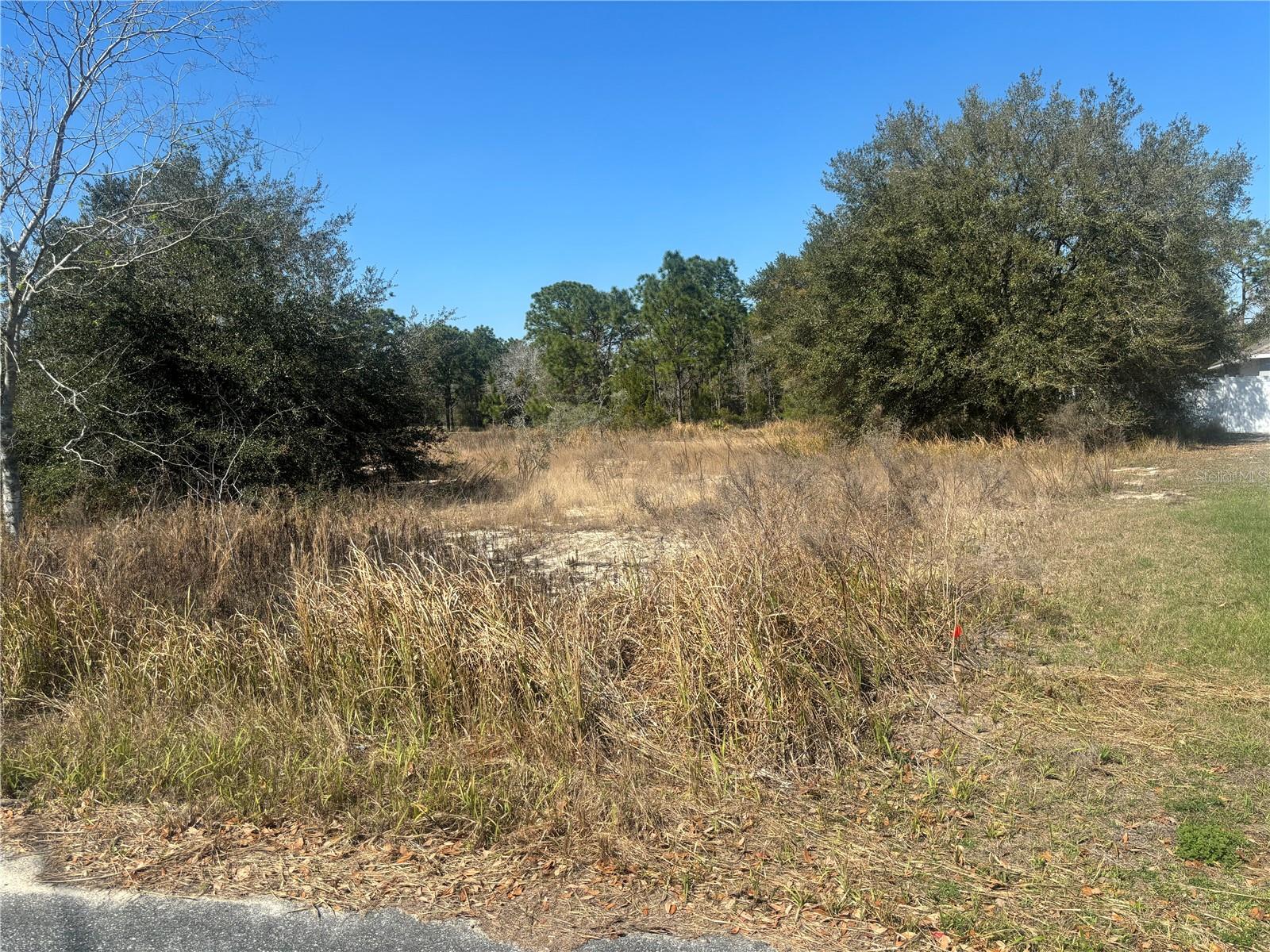 0000 OAK RUN PL, OCALA, FL, 34472