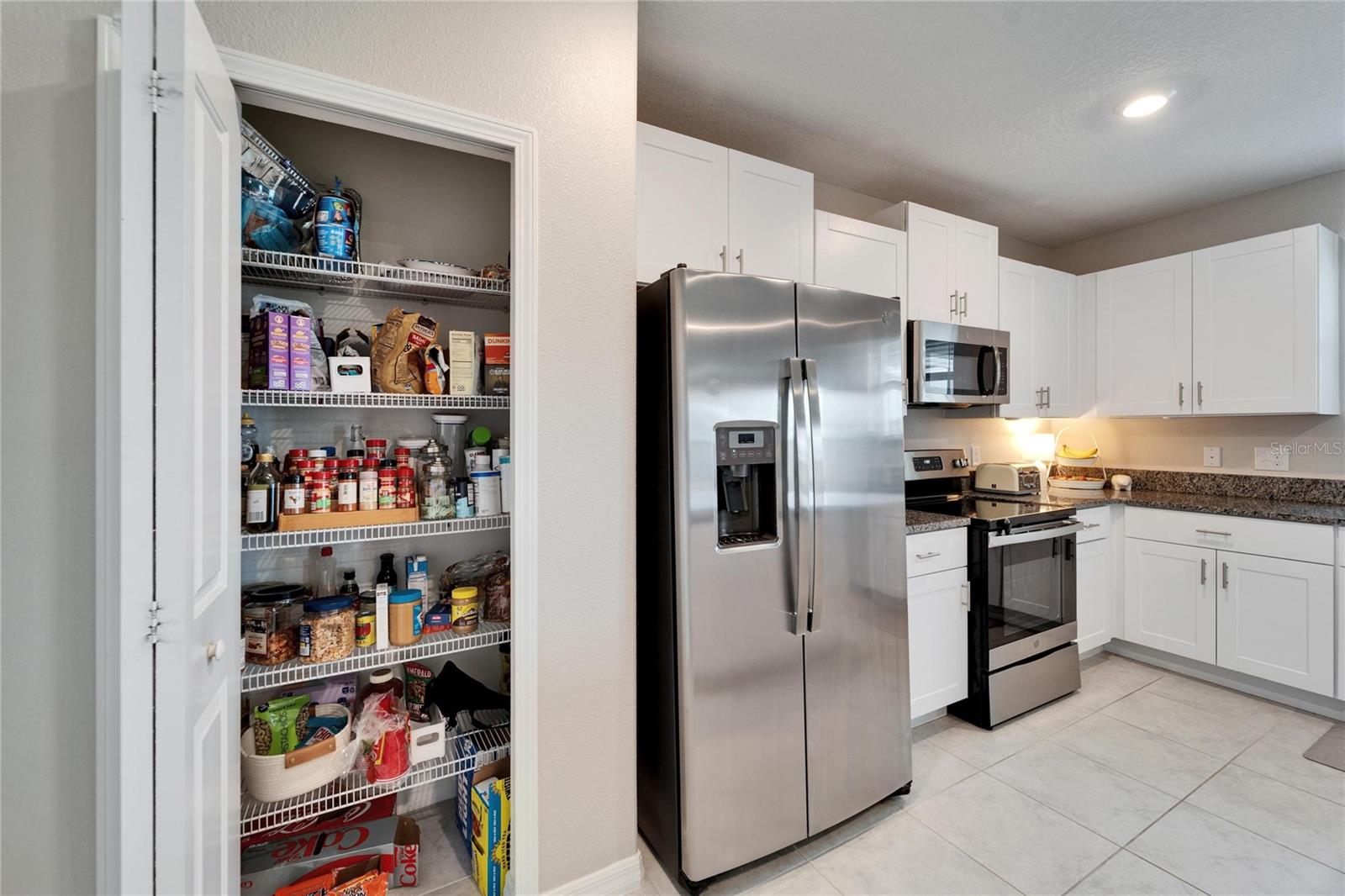 8658 PARSONS HILL BLVD, WESLEY CHAPEL, FL, 33545