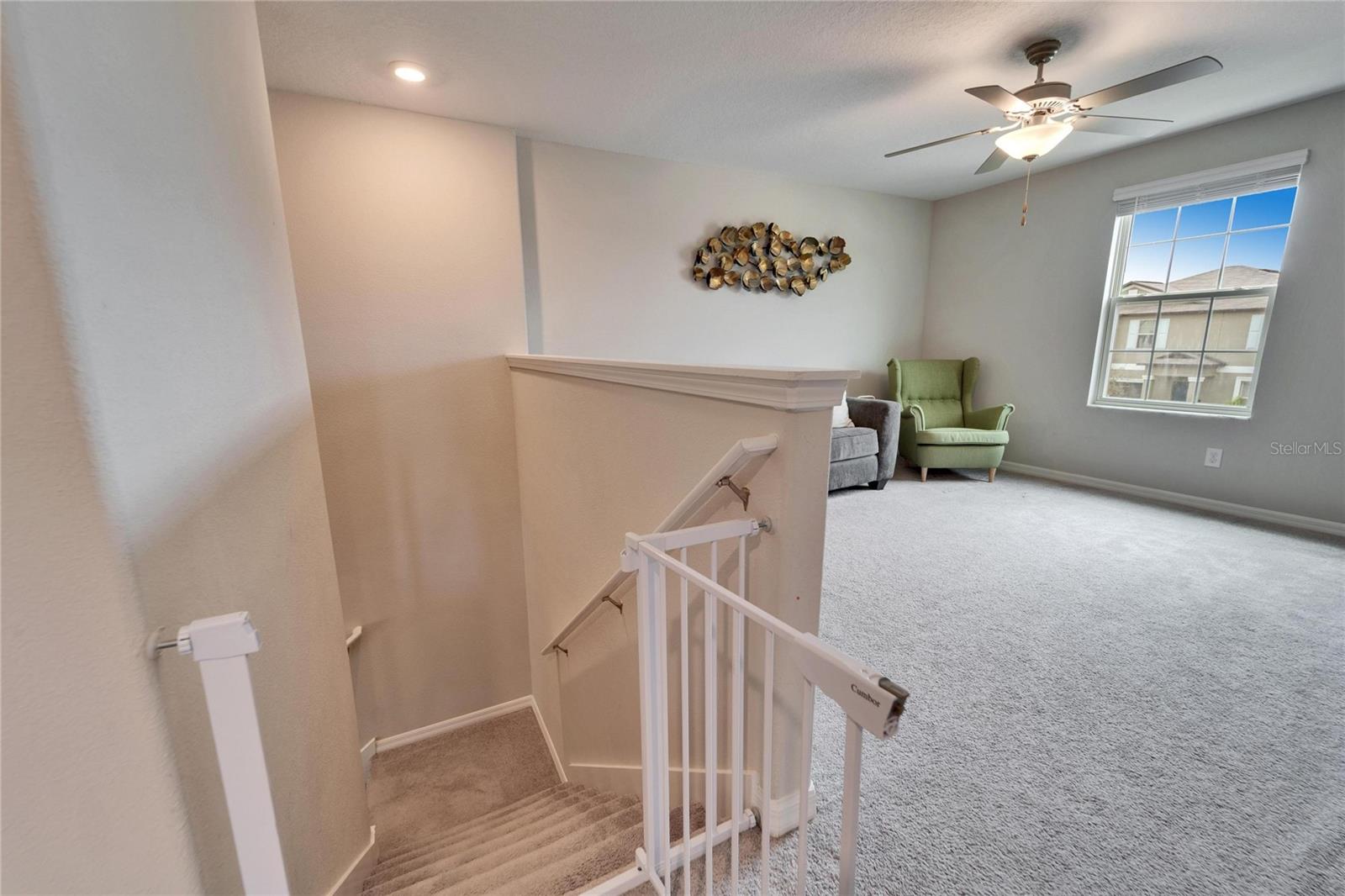 8658 PARSONS HILL BLVD, WESLEY CHAPEL, FL, 33545