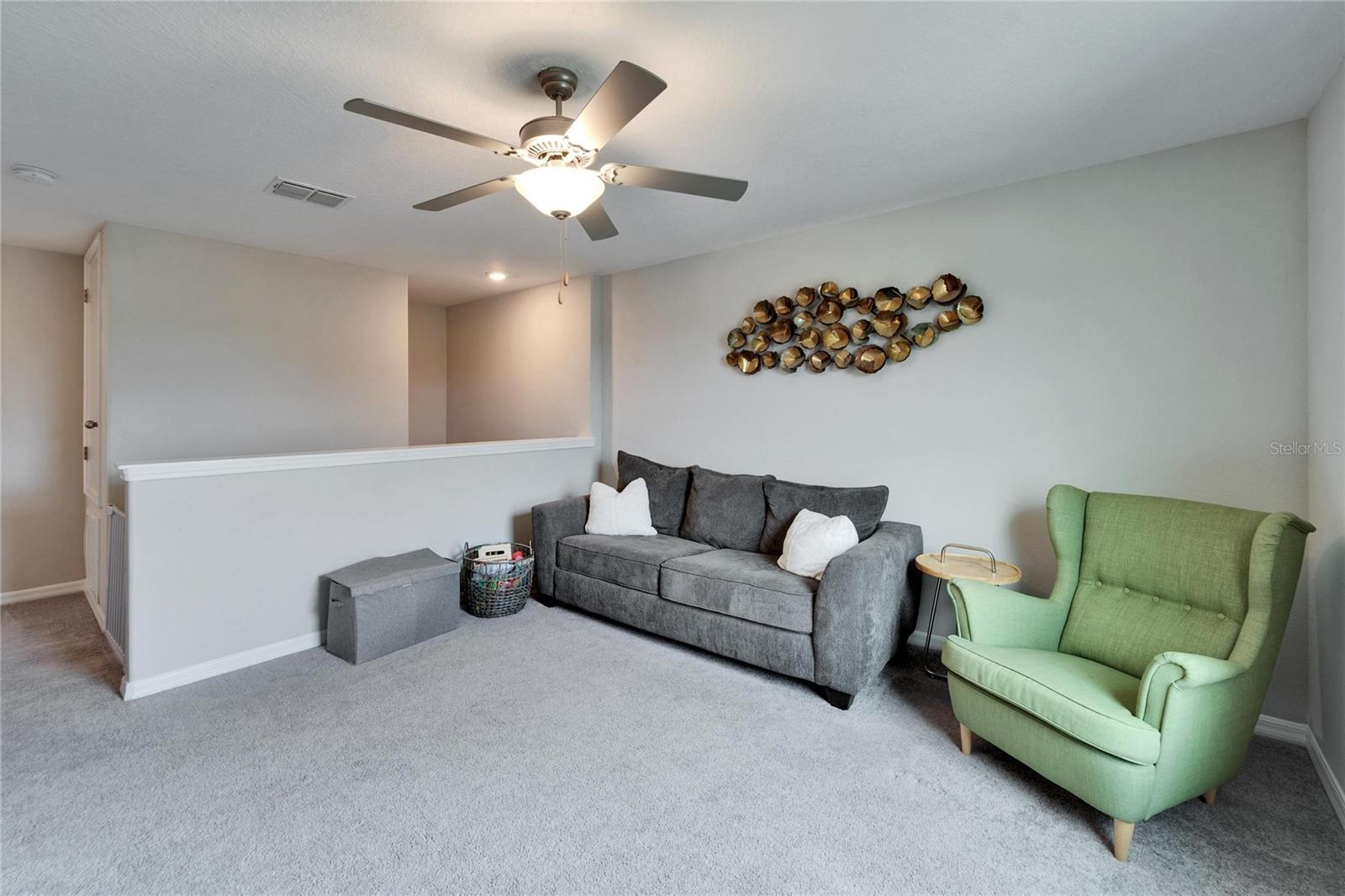8658 PARSONS HILL BLVD, WESLEY CHAPEL, FL, 33545
