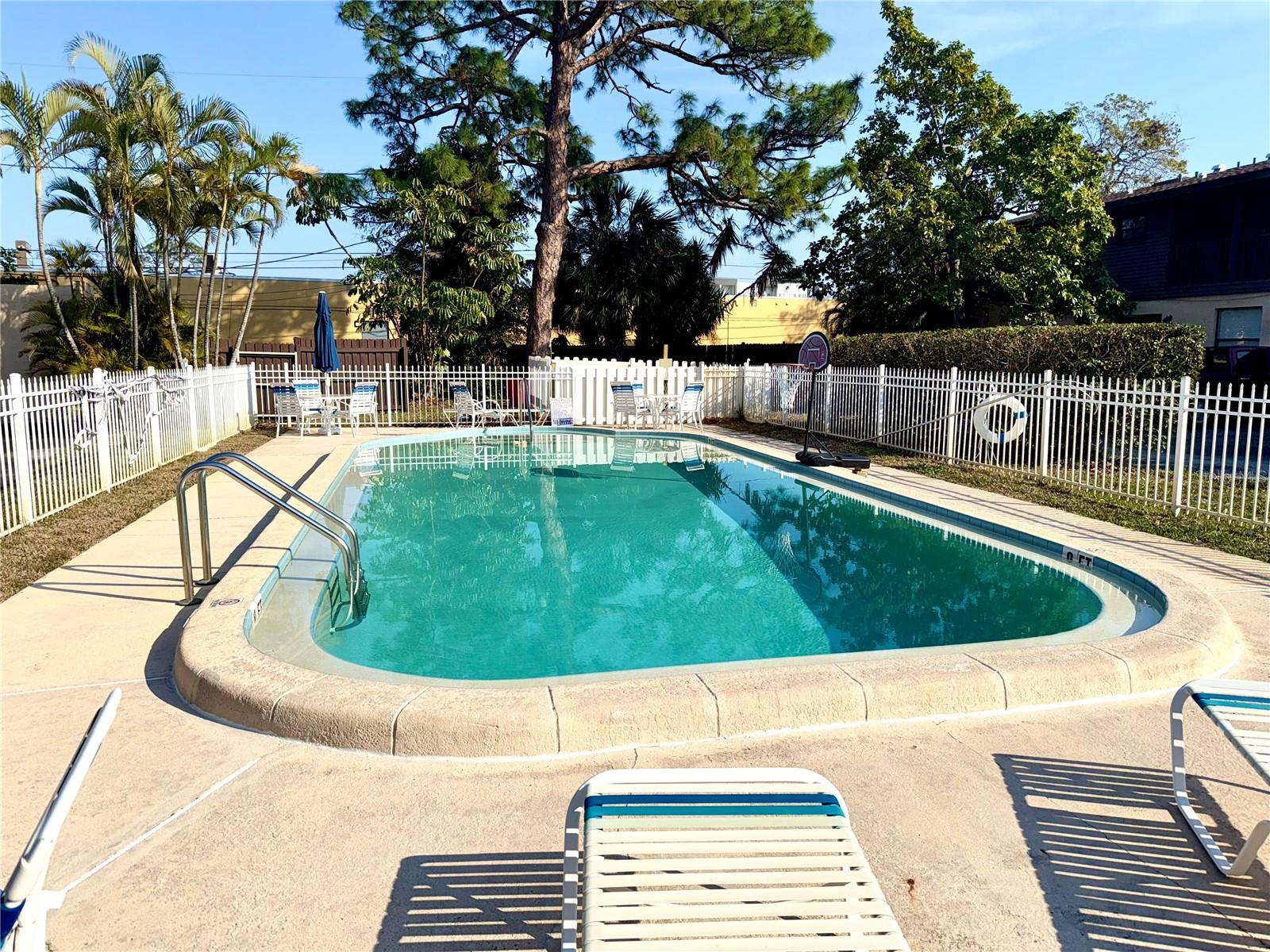5603 SYCAMORE ST N #5603, ST PETERSBURG, FL, 33703