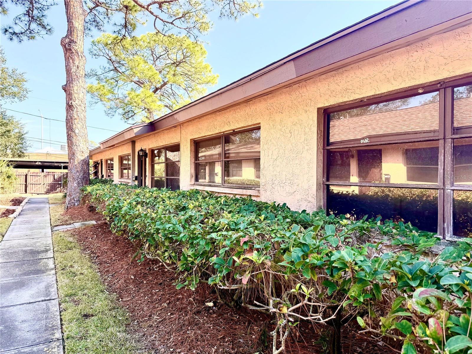 5603 SYCAMORE ST N #5603, ST PETERSBURG, FL, 33703