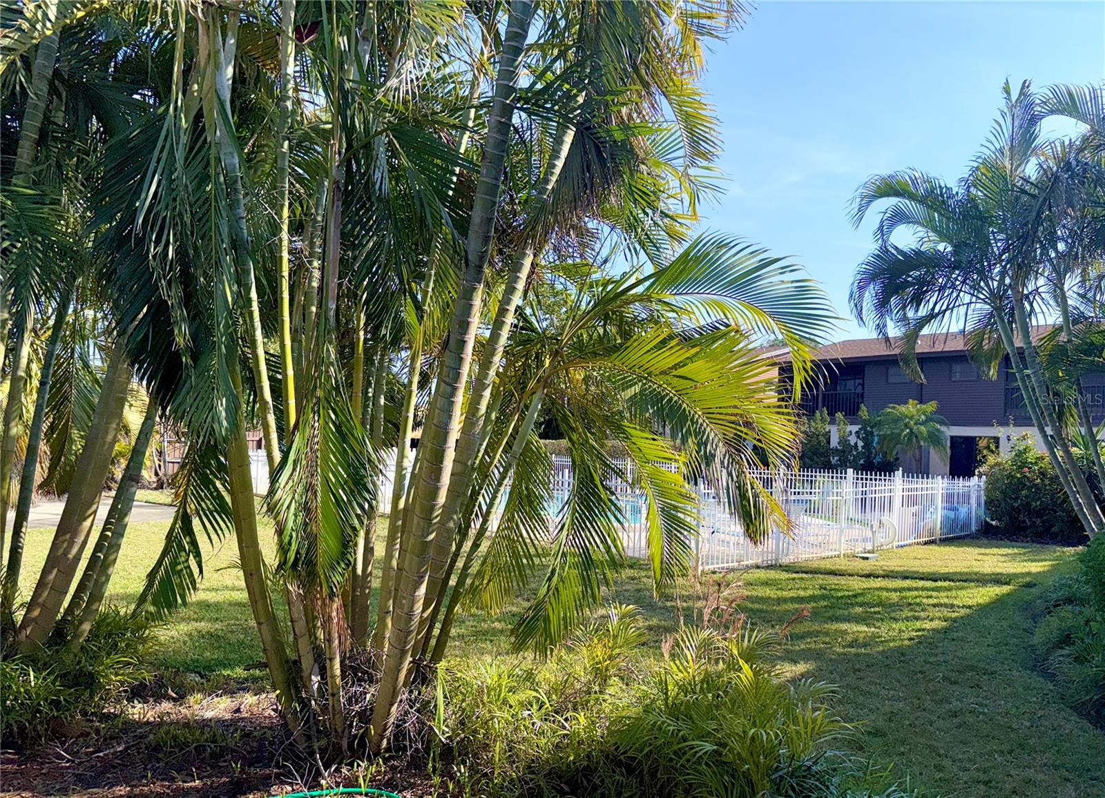 5603 SYCAMORE ST N #5603, ST PETERSBURG, FL, 33703