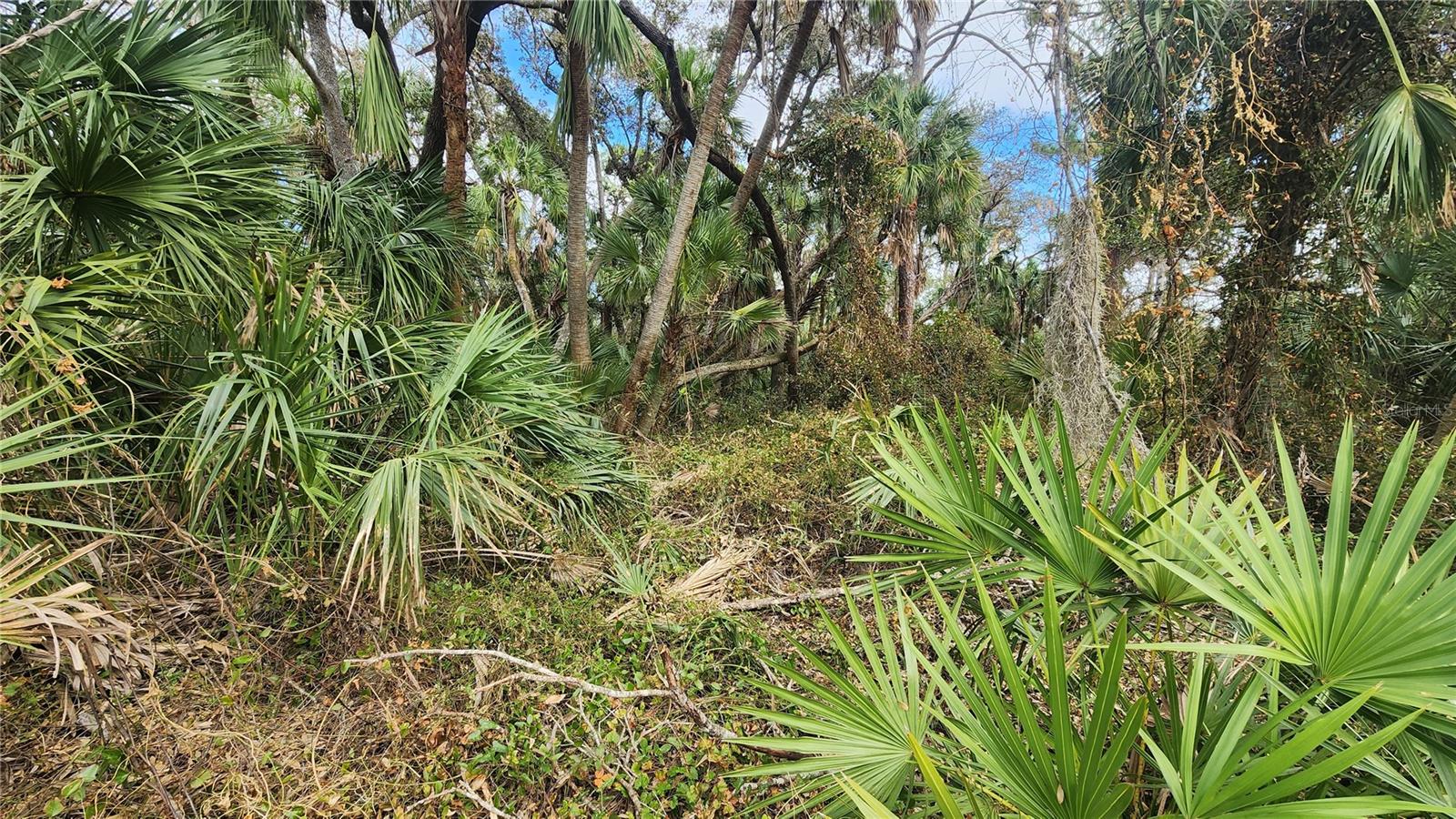 2456 HIAWATHA ST, PORT CHARLOTTE, FL, 33948