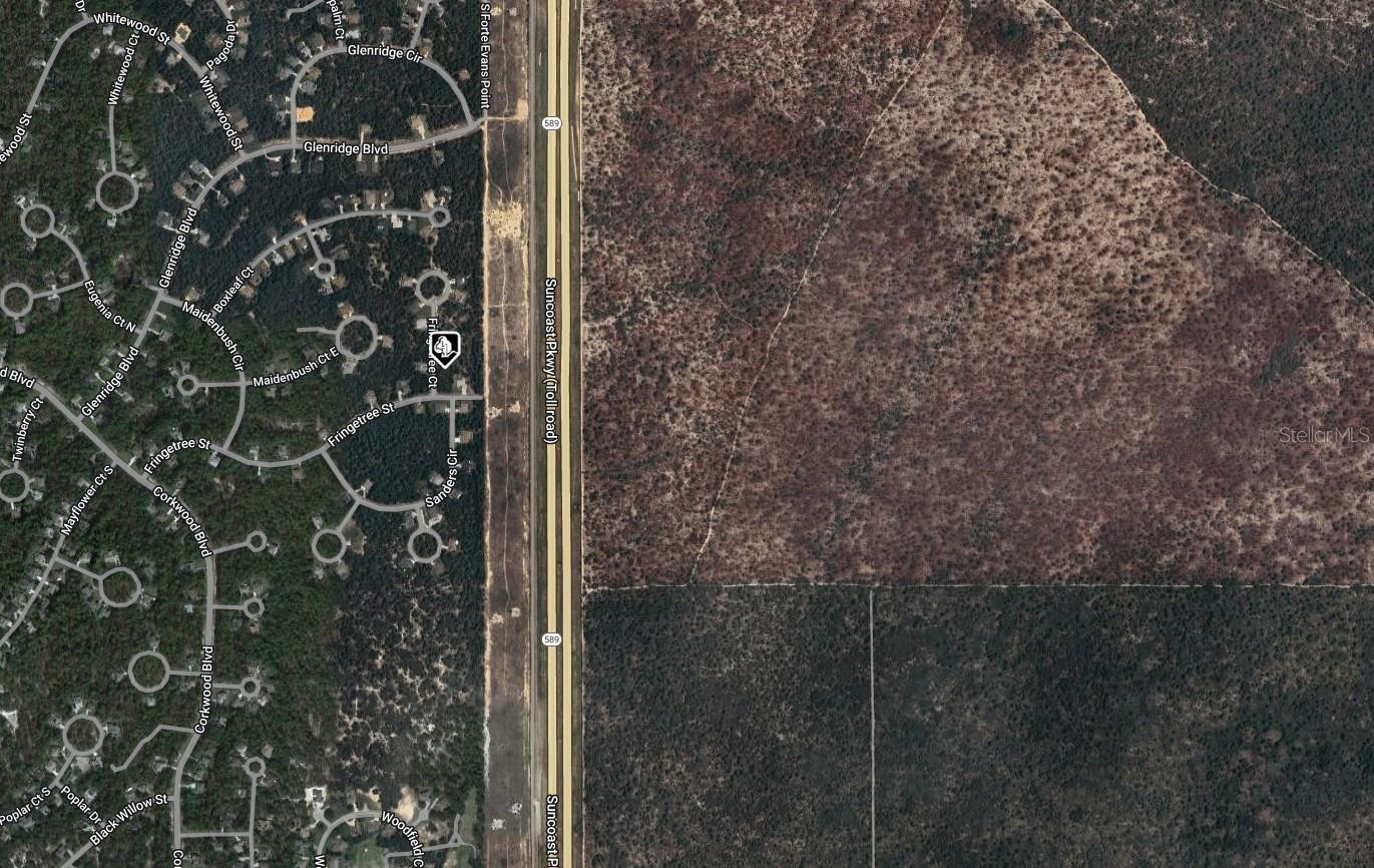 3 FRINGETREE CT, HOMOSASSA, FL, 34446