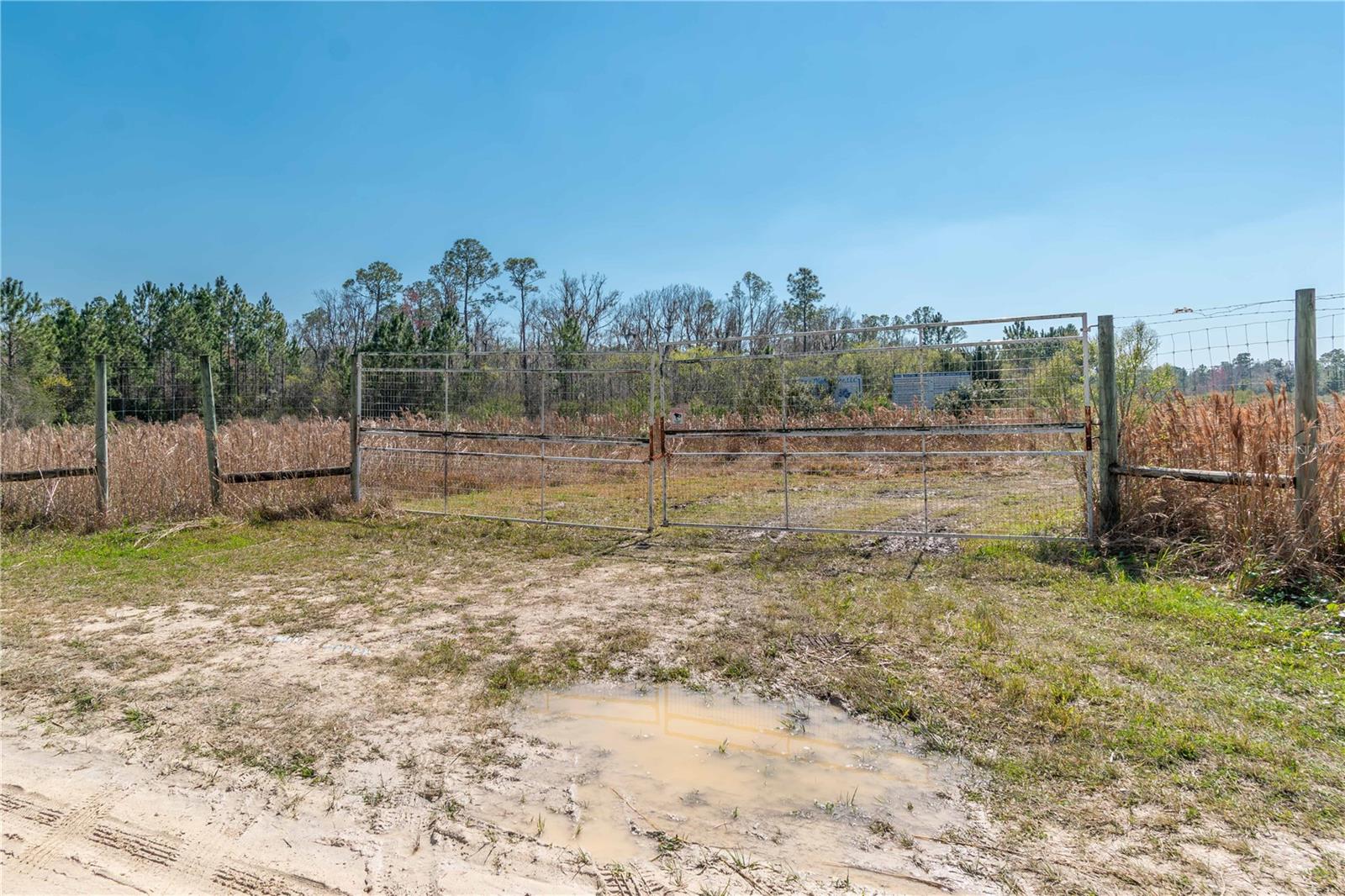 21665 SE 177TH AVE, HAWTHORNE, FL, 32640