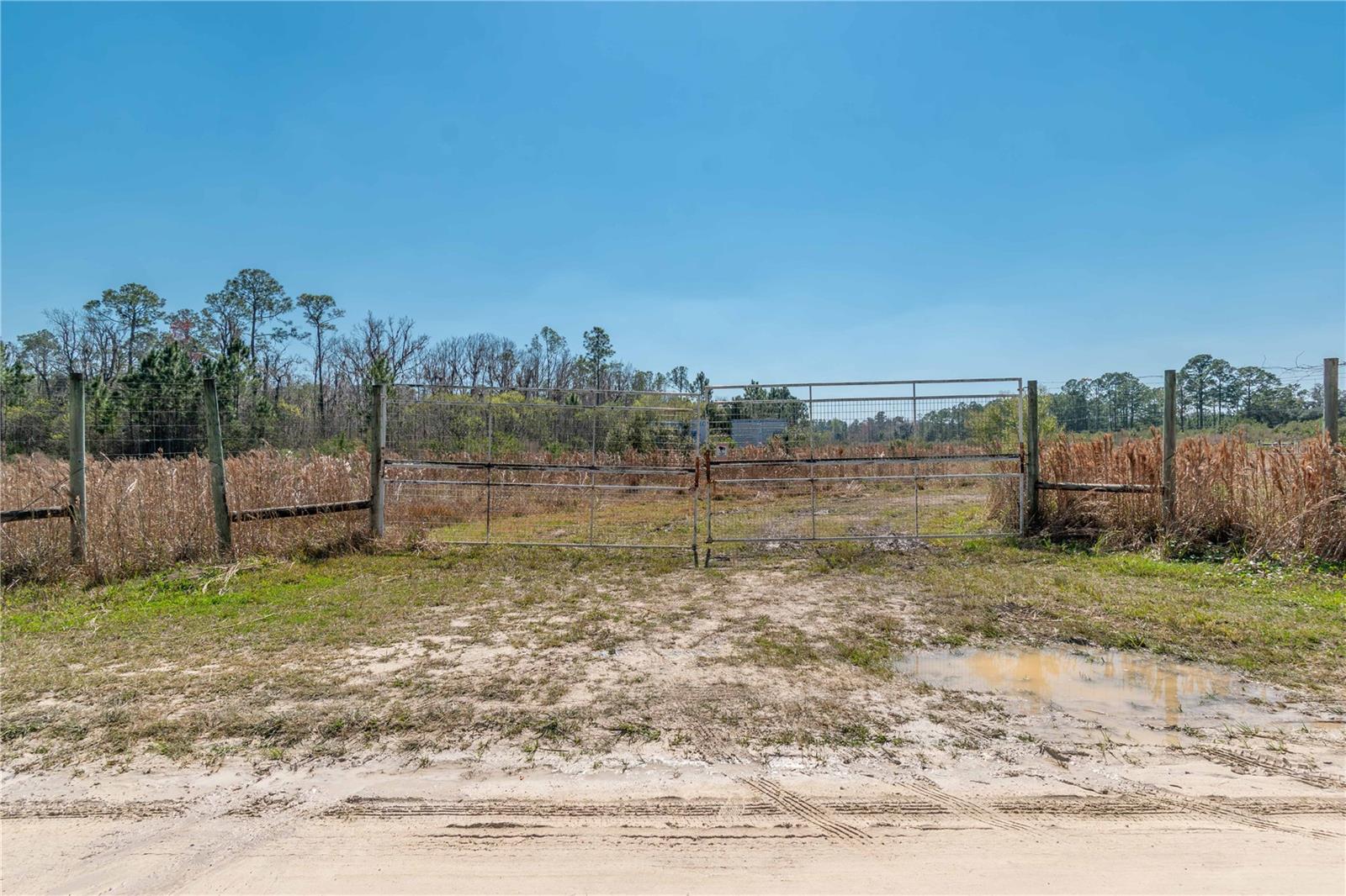 21665 SE 177TH AVE, HAWTHORNE, FL, 32640